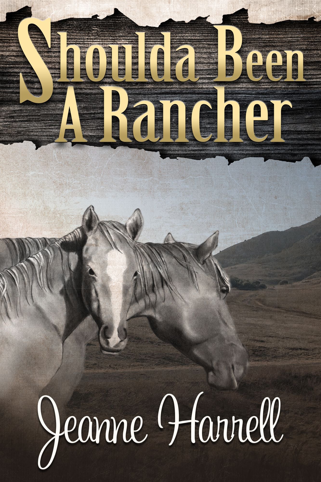 Shoulda Been A Rancher (Book 3, These Nevada Boys series)
