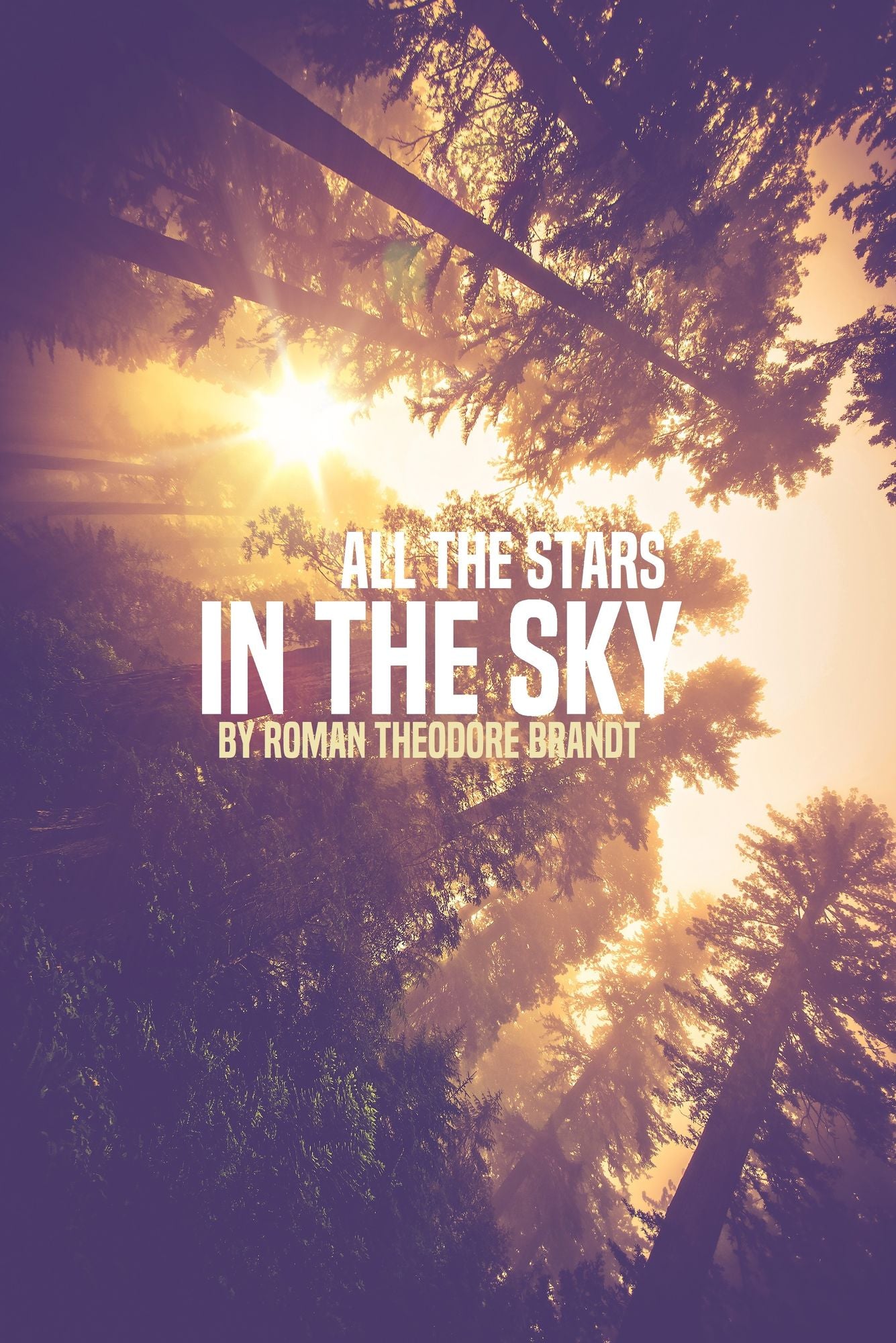 All the Stars in the Sky