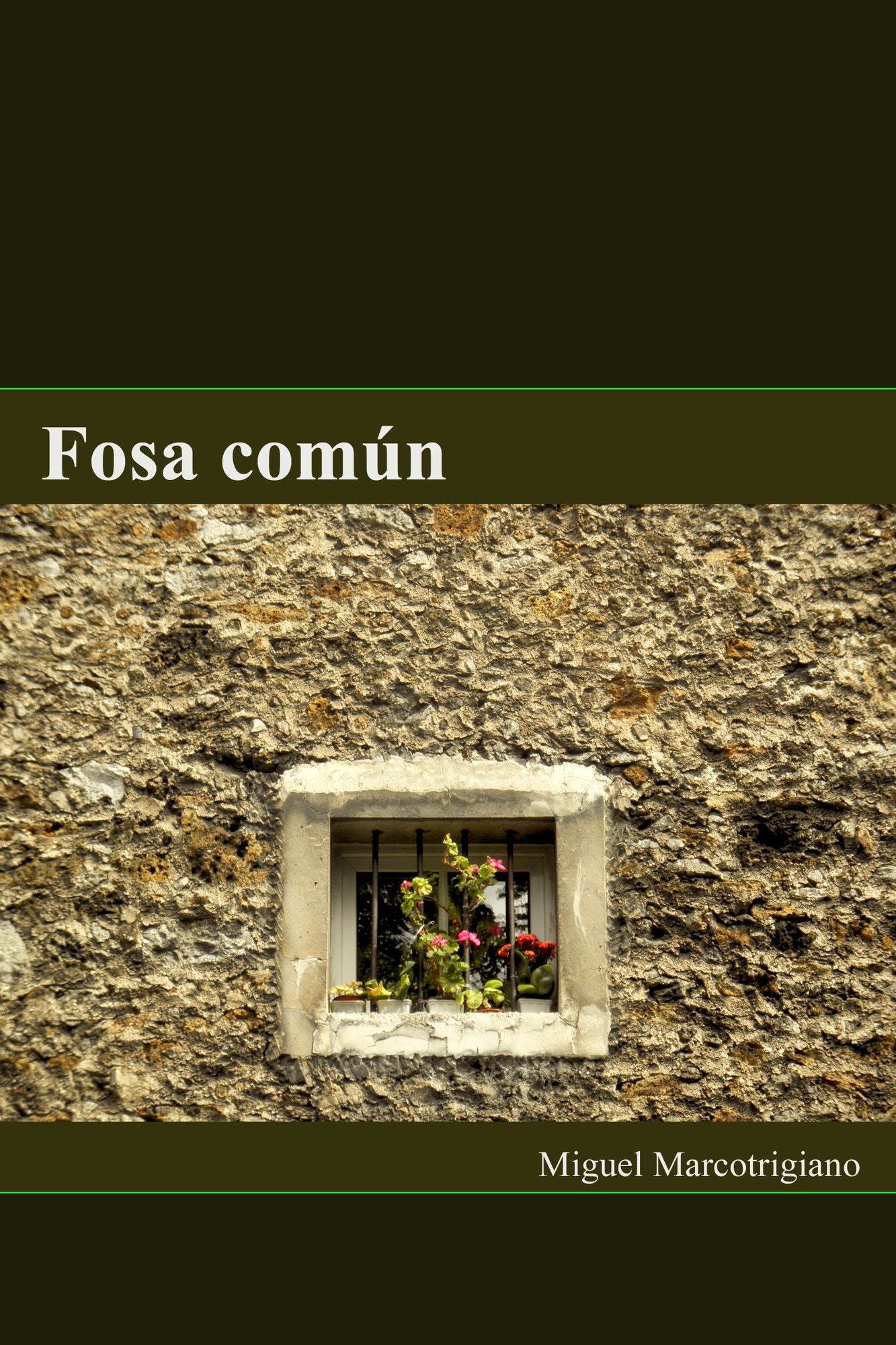 Fosa común