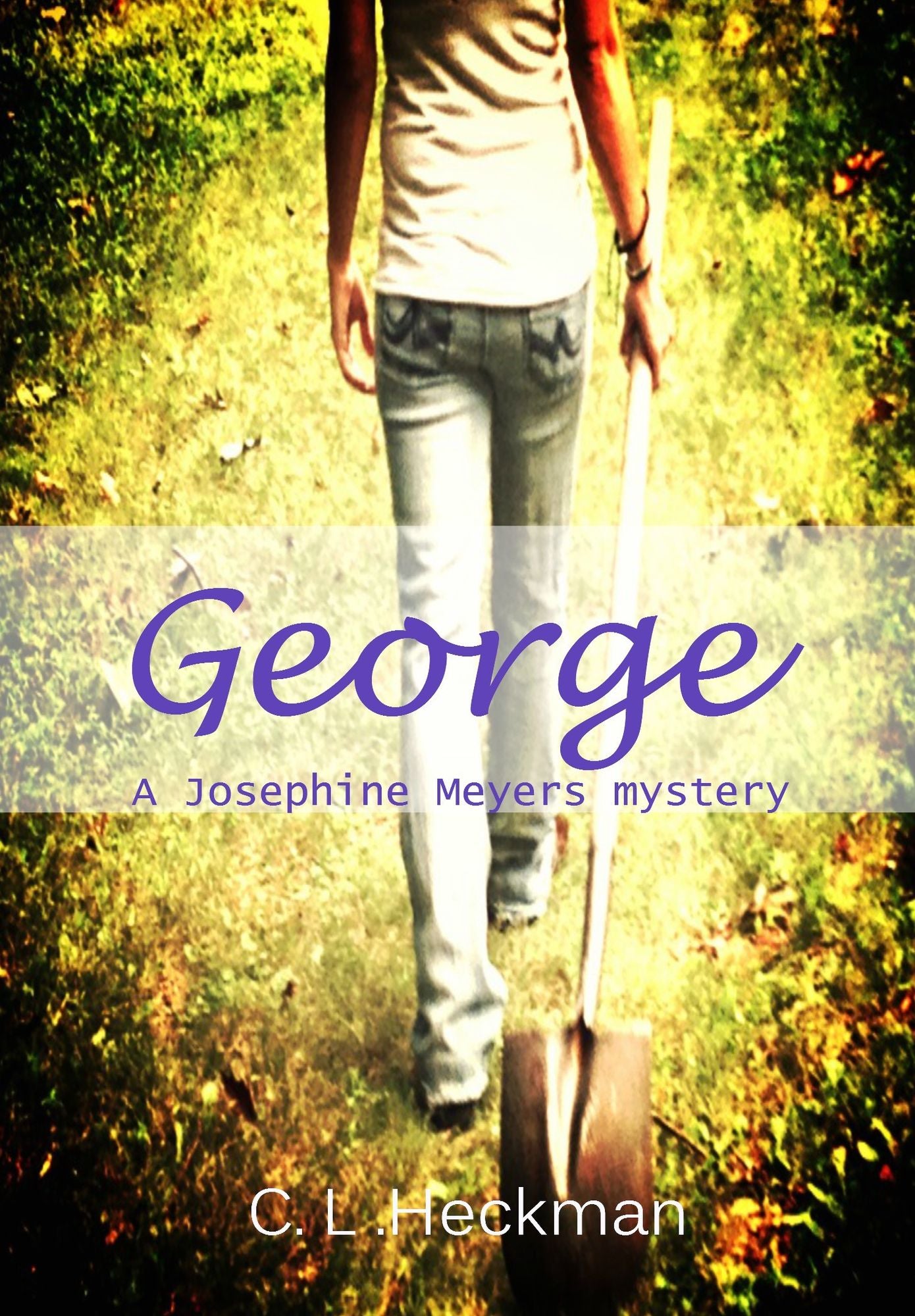 George: A Josephine Meyers Mystery
