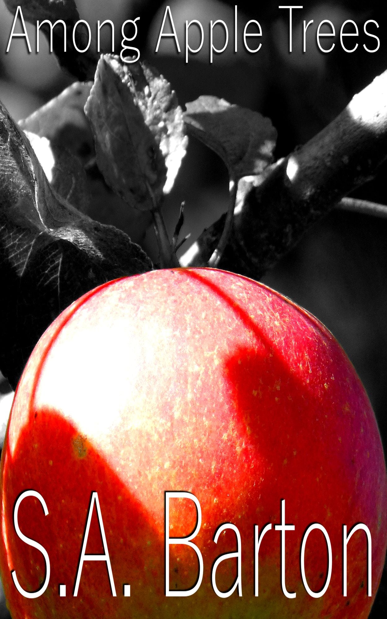 Among Apple Trees