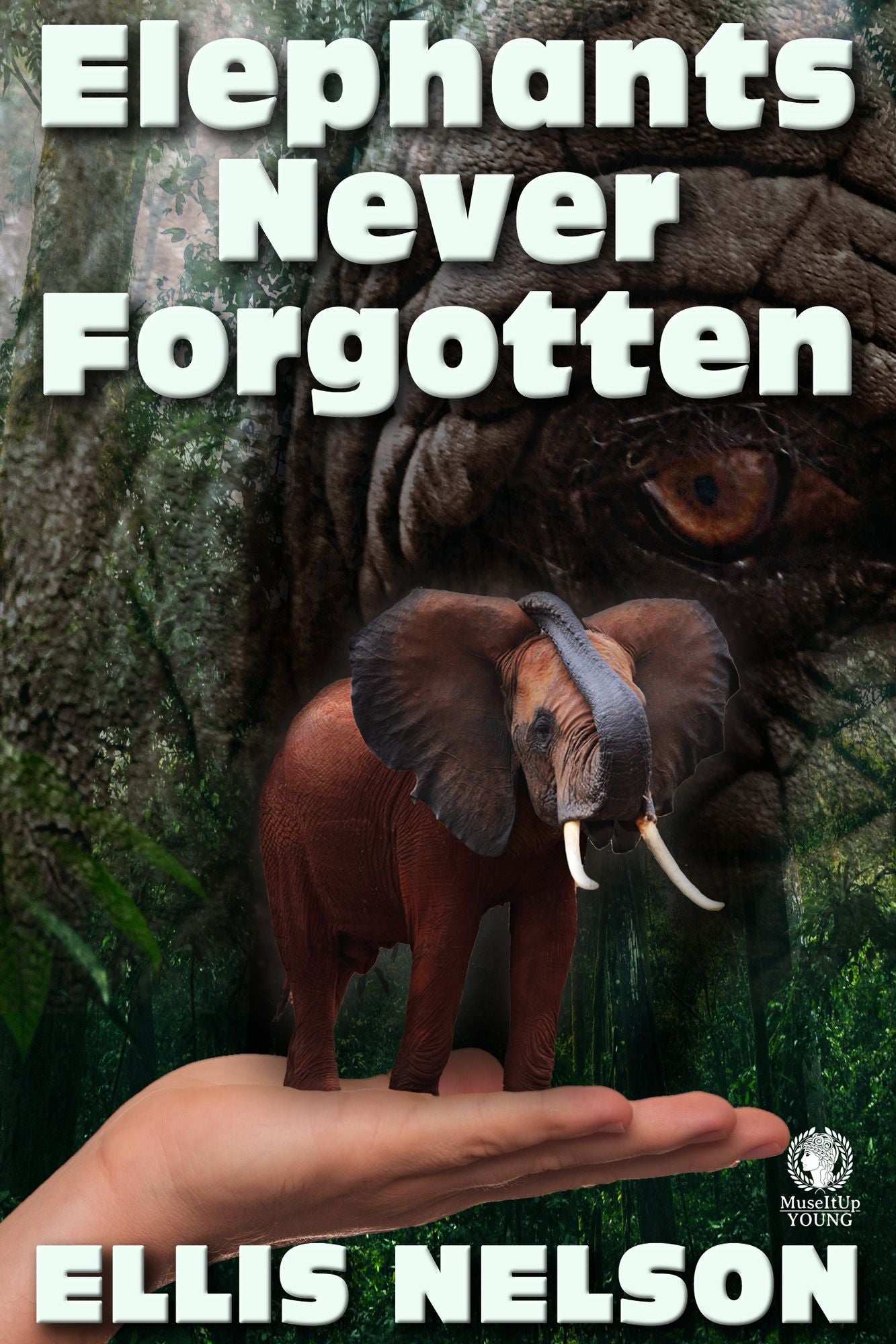 Elephants Never Forgotten