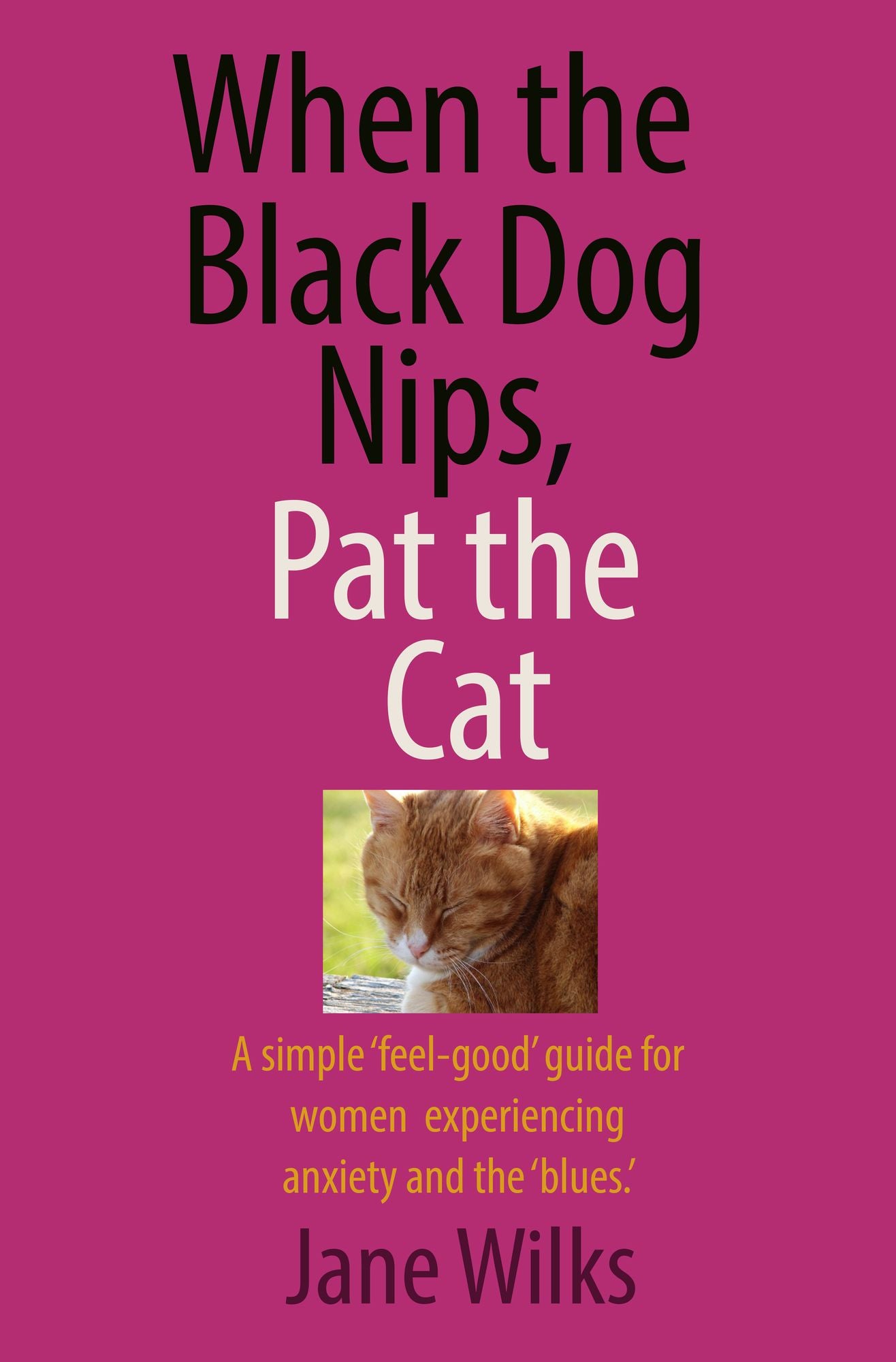 When the Black Dog Nips, Pat the cat: A simple' feel-good' guide for women experiencing anxiety and the' blues.'