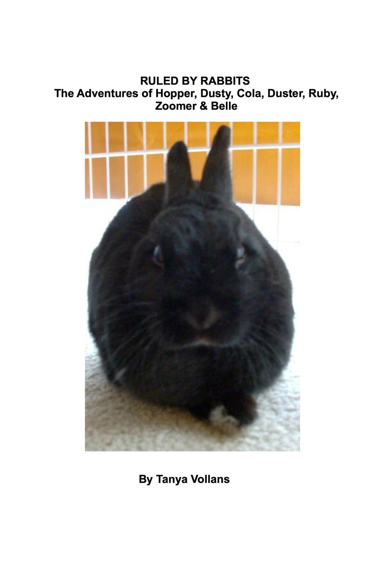 Ruled By Rabbits