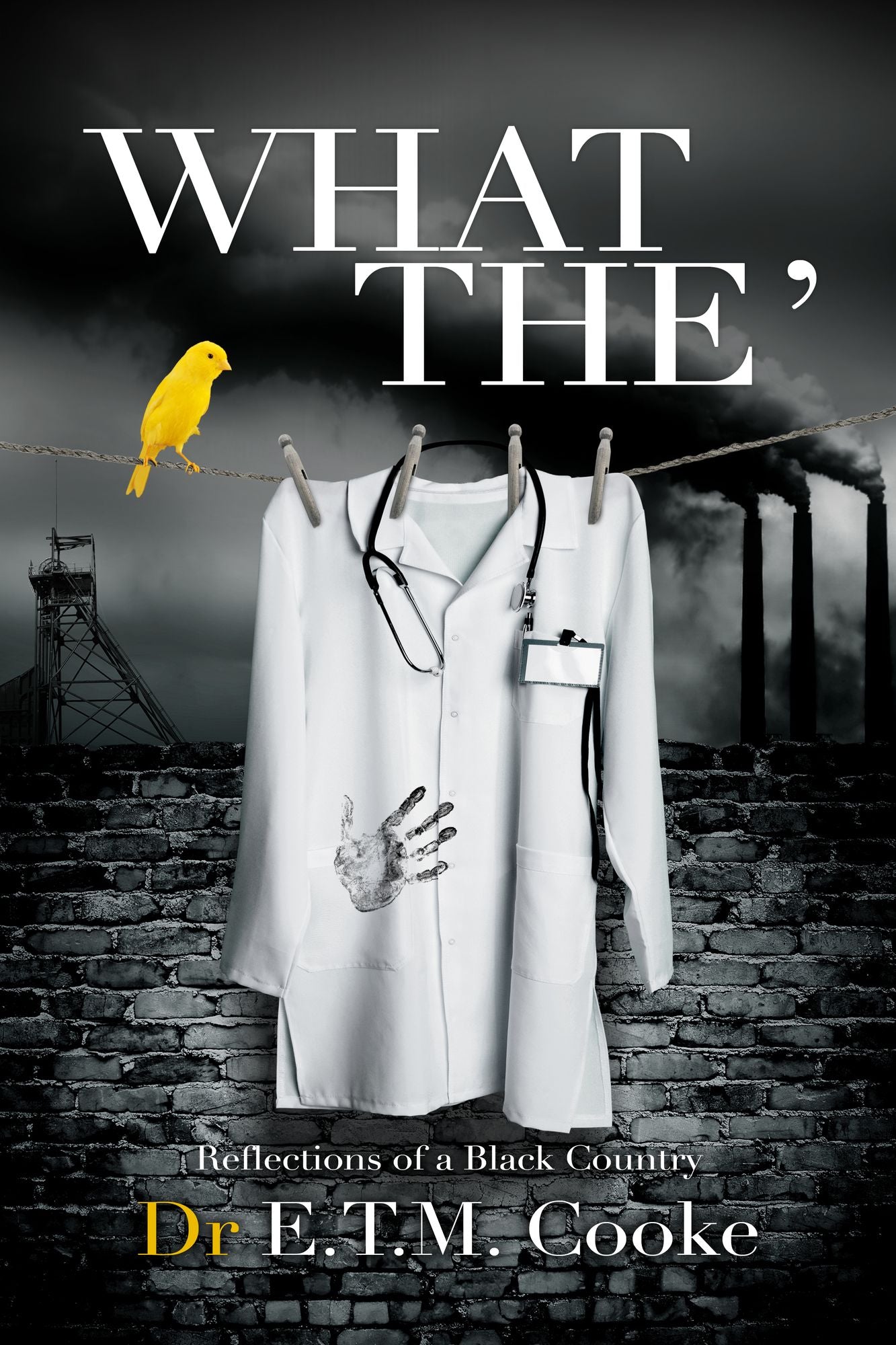 What The': Reflections of a Black Country