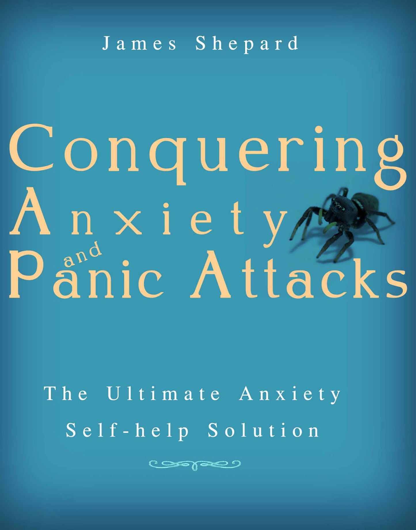 Conquering Anxiety And Panic Attacks!: The Ultimate Anxiety Solution and Self Help Book