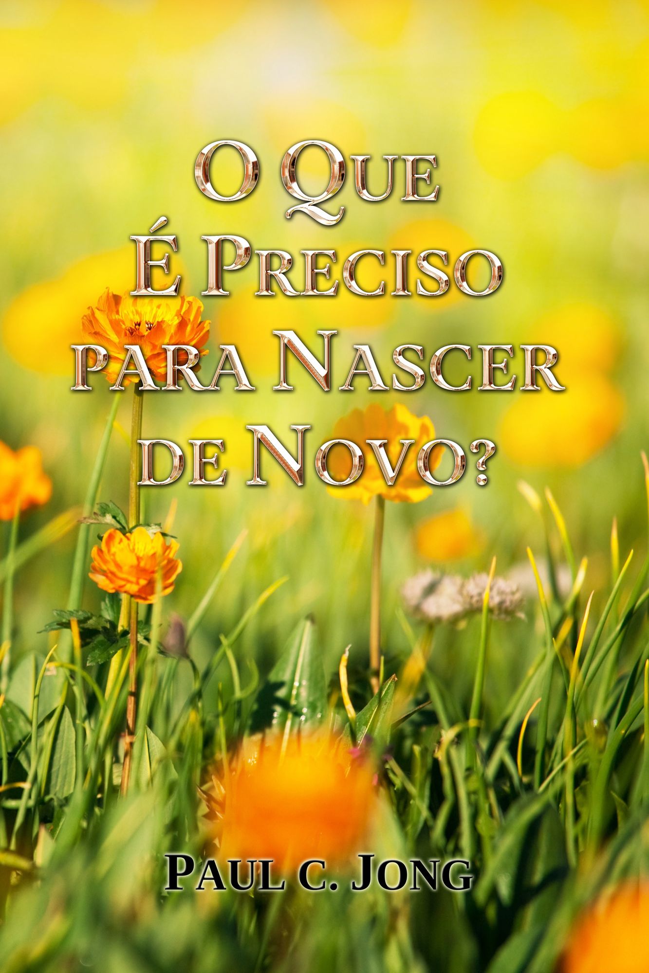 O Que É Preciso Para Nascer De Novo?