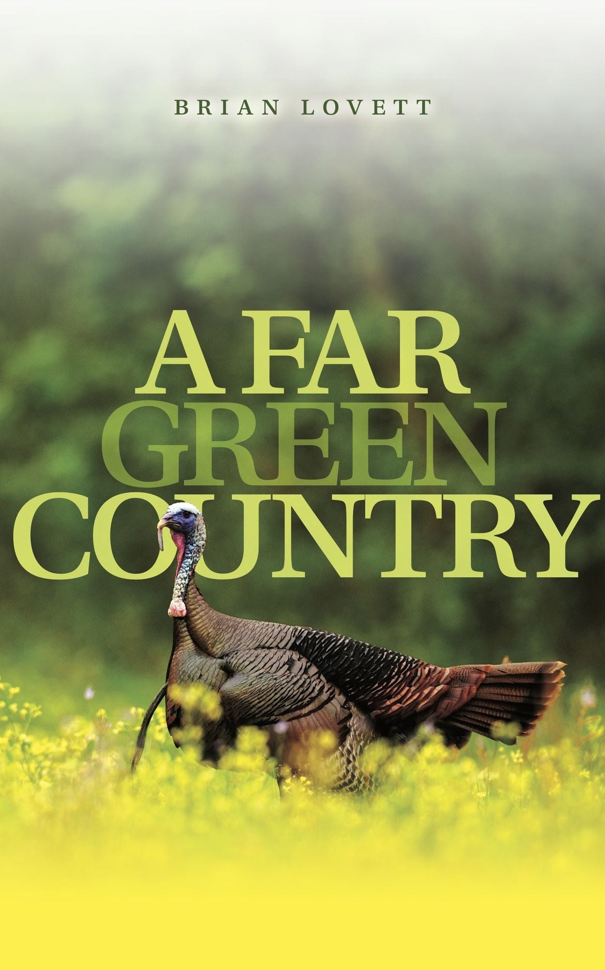 A Far Green Country