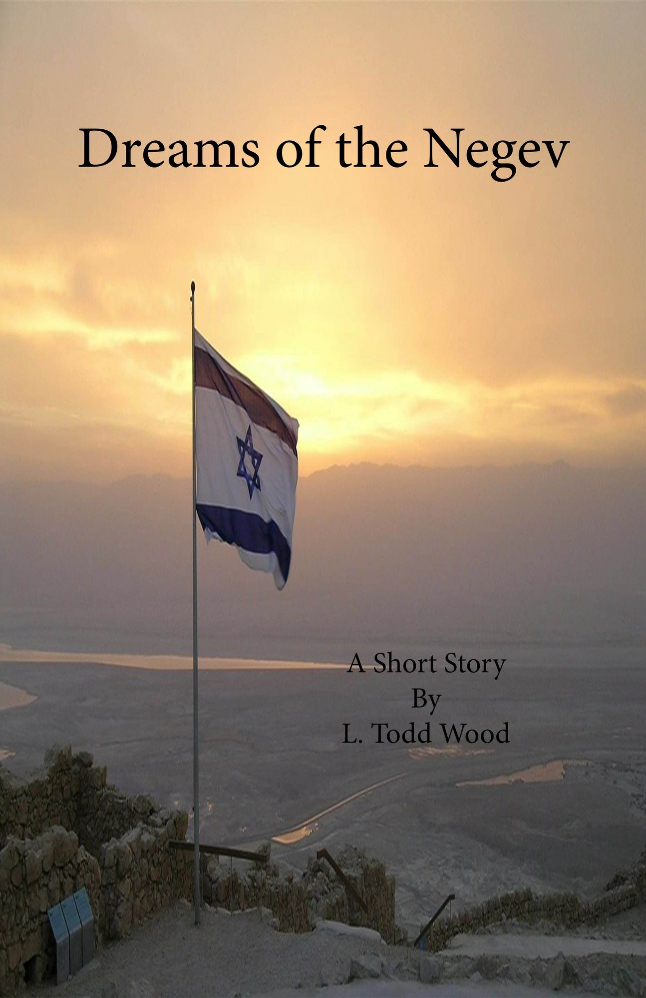 Dreams of the Negev