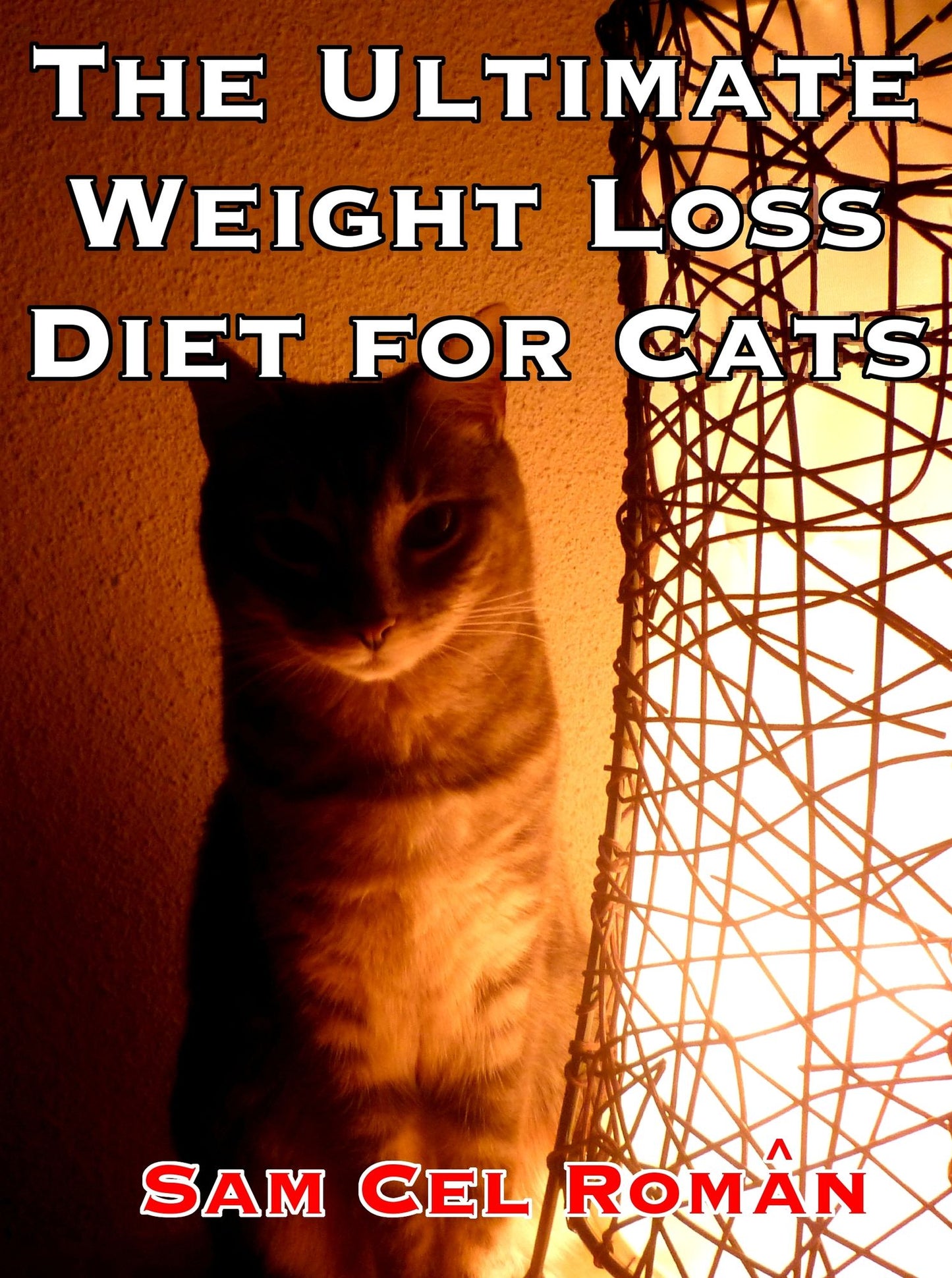 The Ultimate Weight Loss Diet for Cats