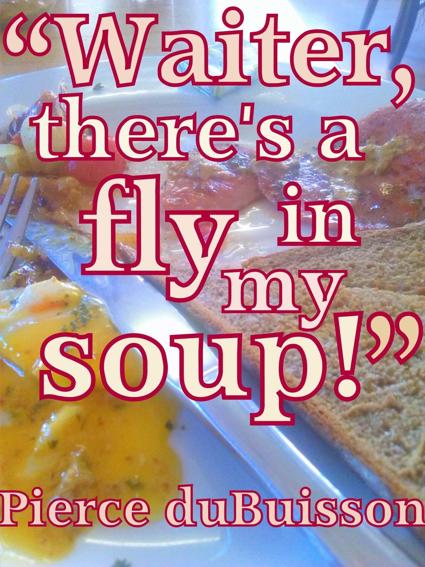 Waiter, There is a Fly in My Soup!