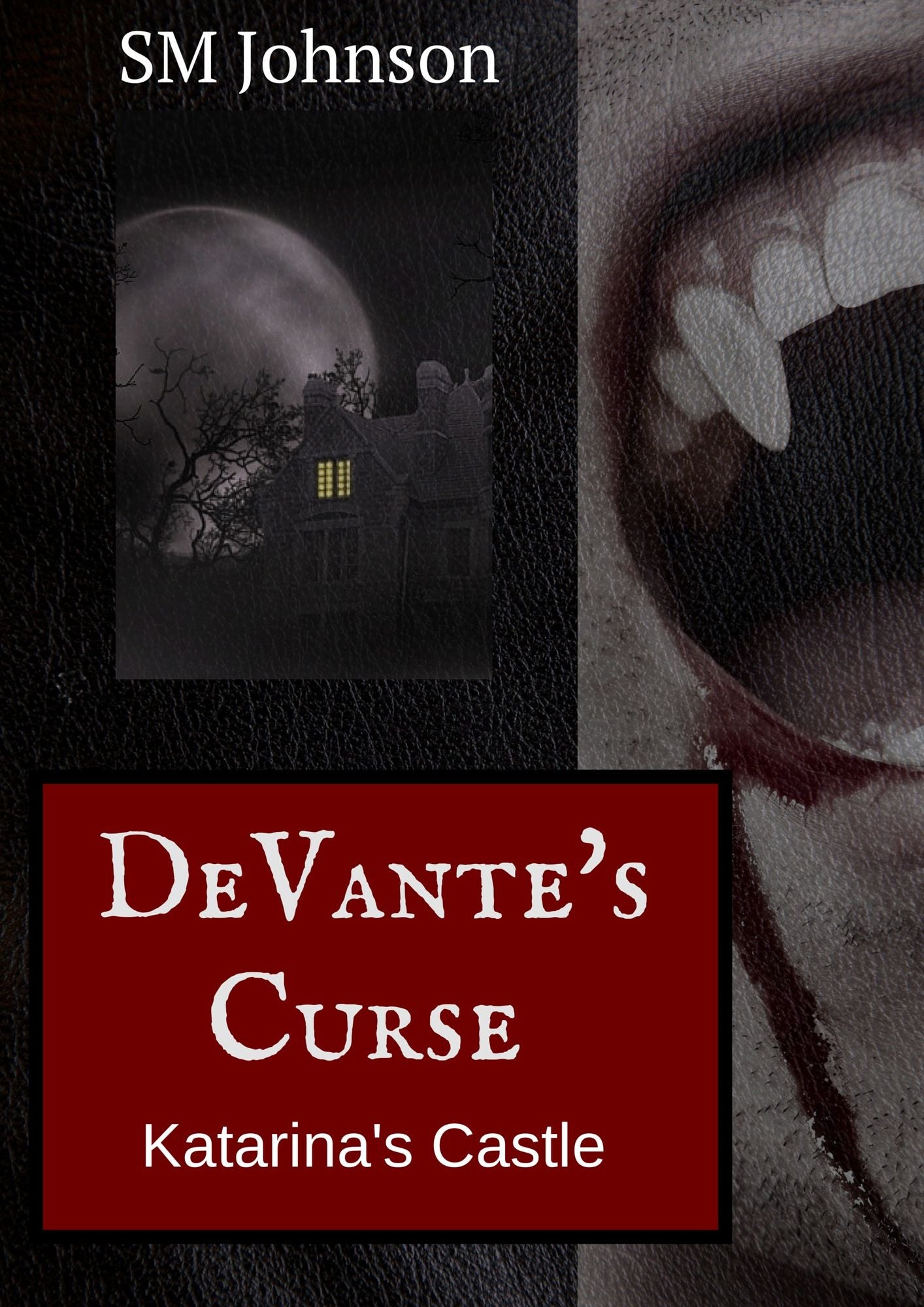 DeVante's Curse: Katarina's Castle