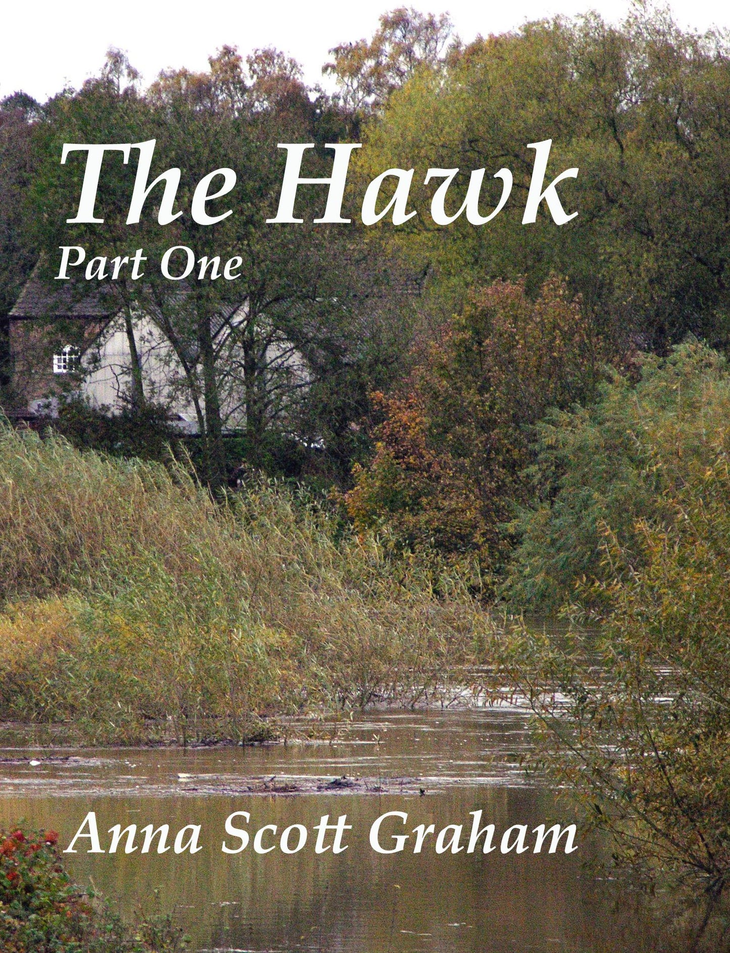 The Hawk: Part One