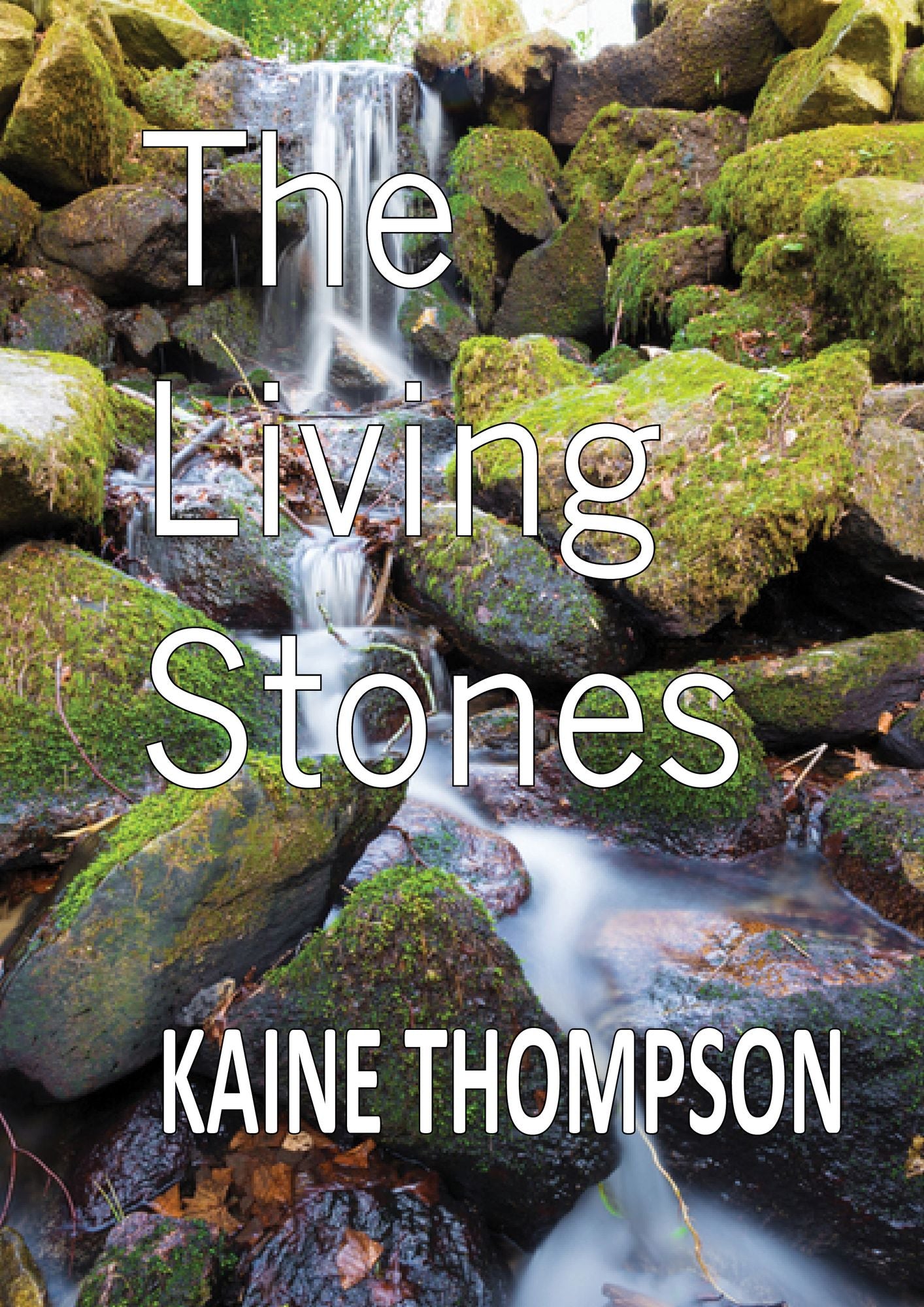 The Living Stones
