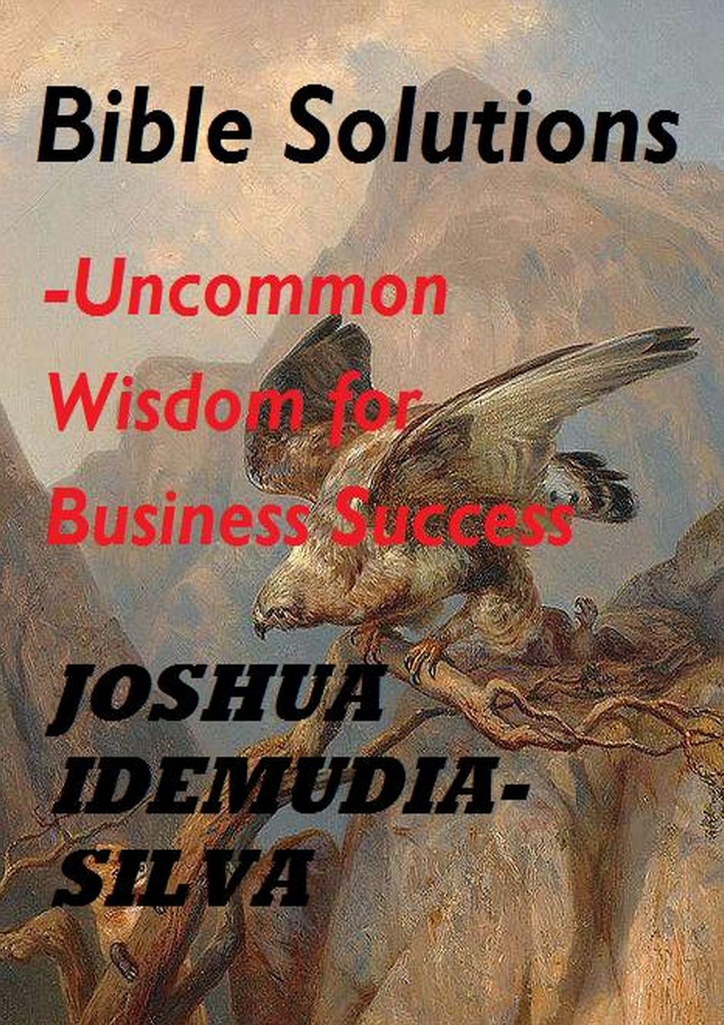 Bible Solutions- uncommon wisdom for Business Success