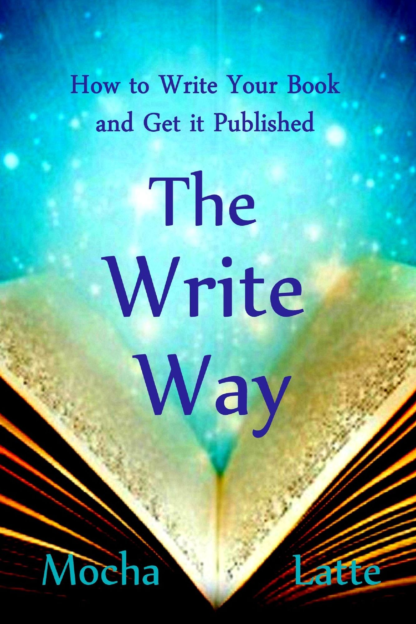 How to Write Your Book and Get it Published The Write Way