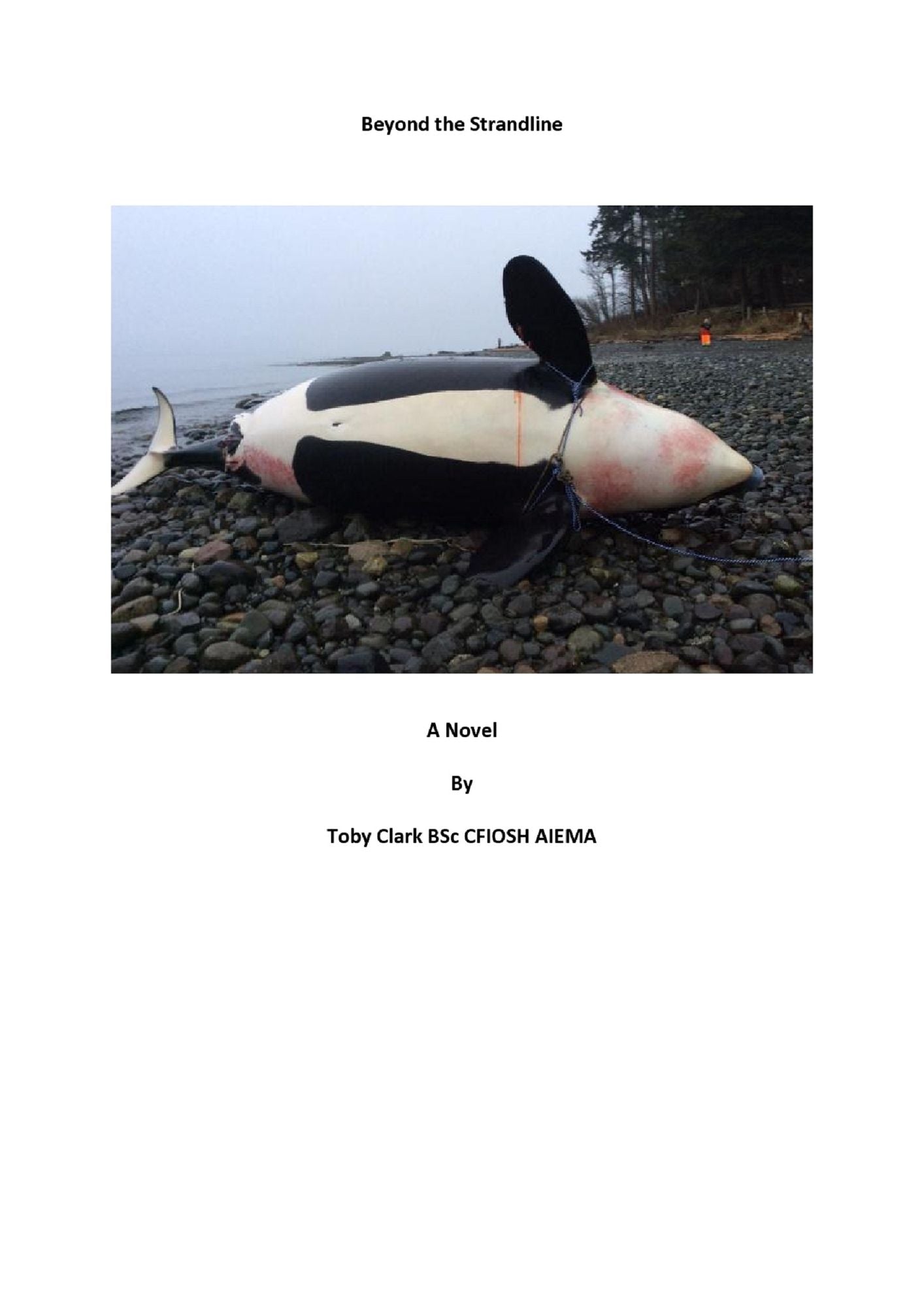 Beyond the Strandline