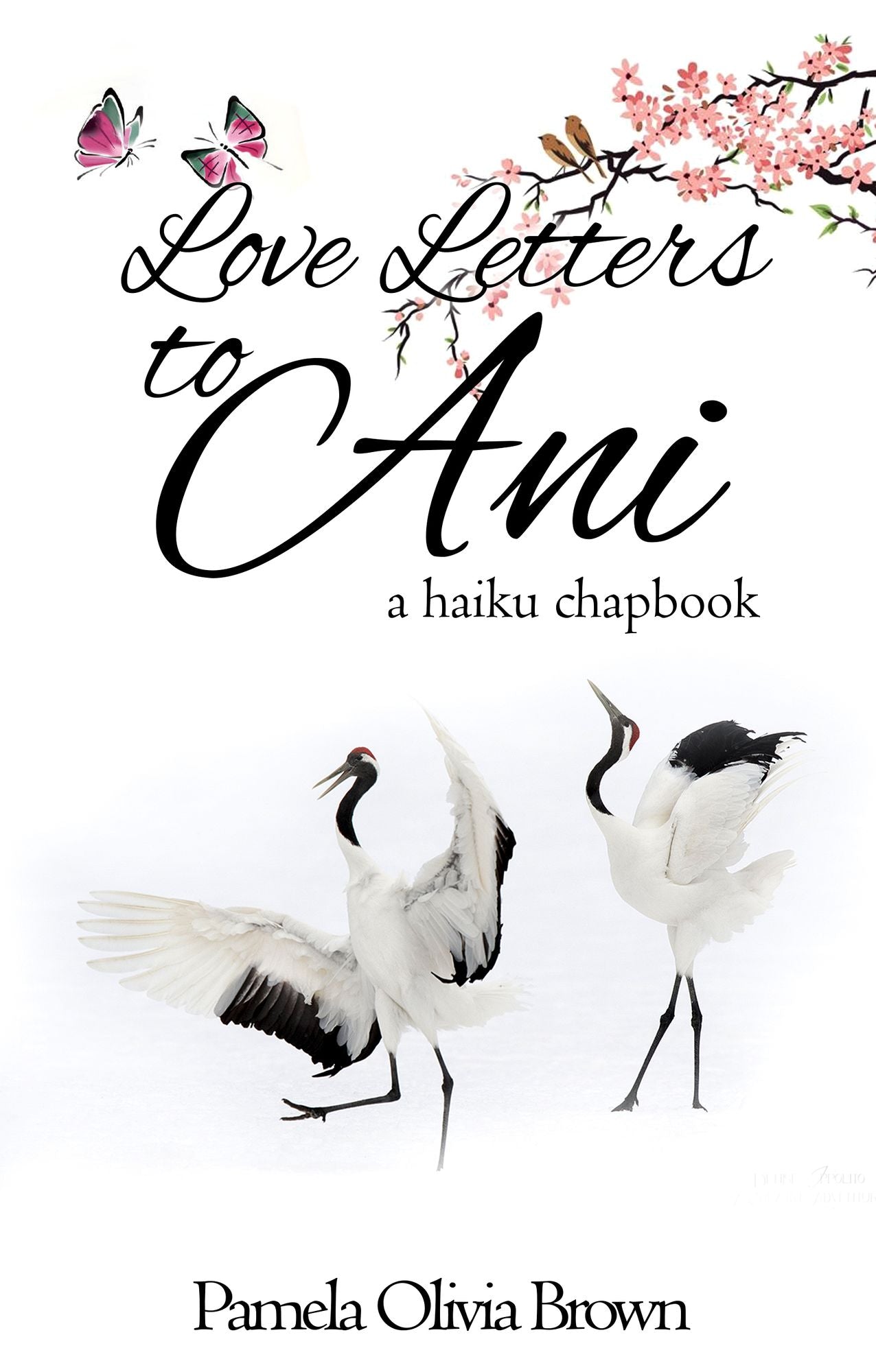 Love Letters to Ani: a haiku chapbook