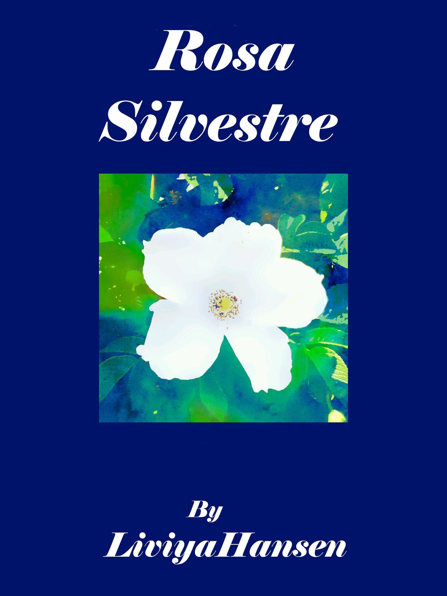 Rosa Silvestre
