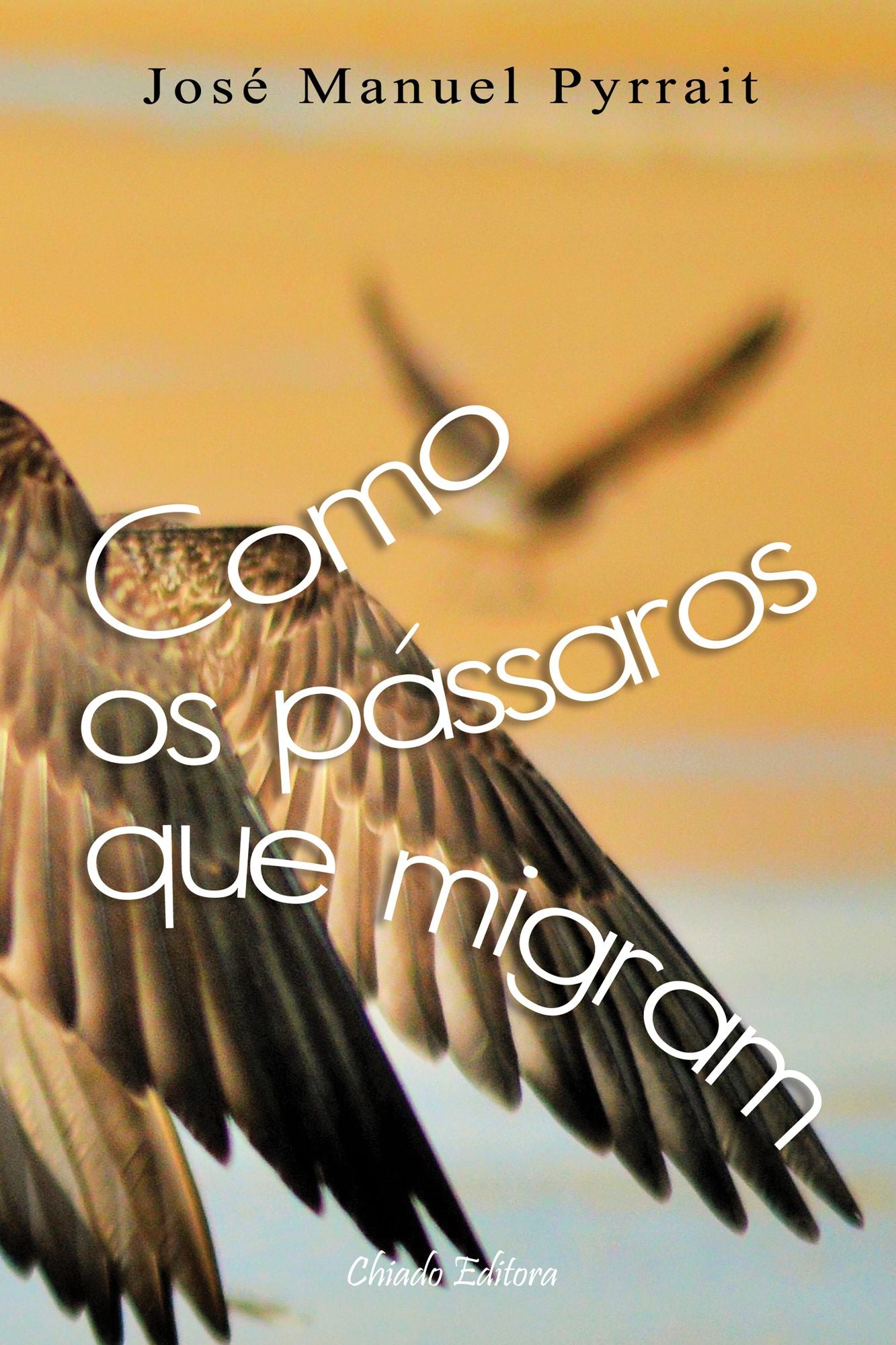 Como os Pássaros Que Migram