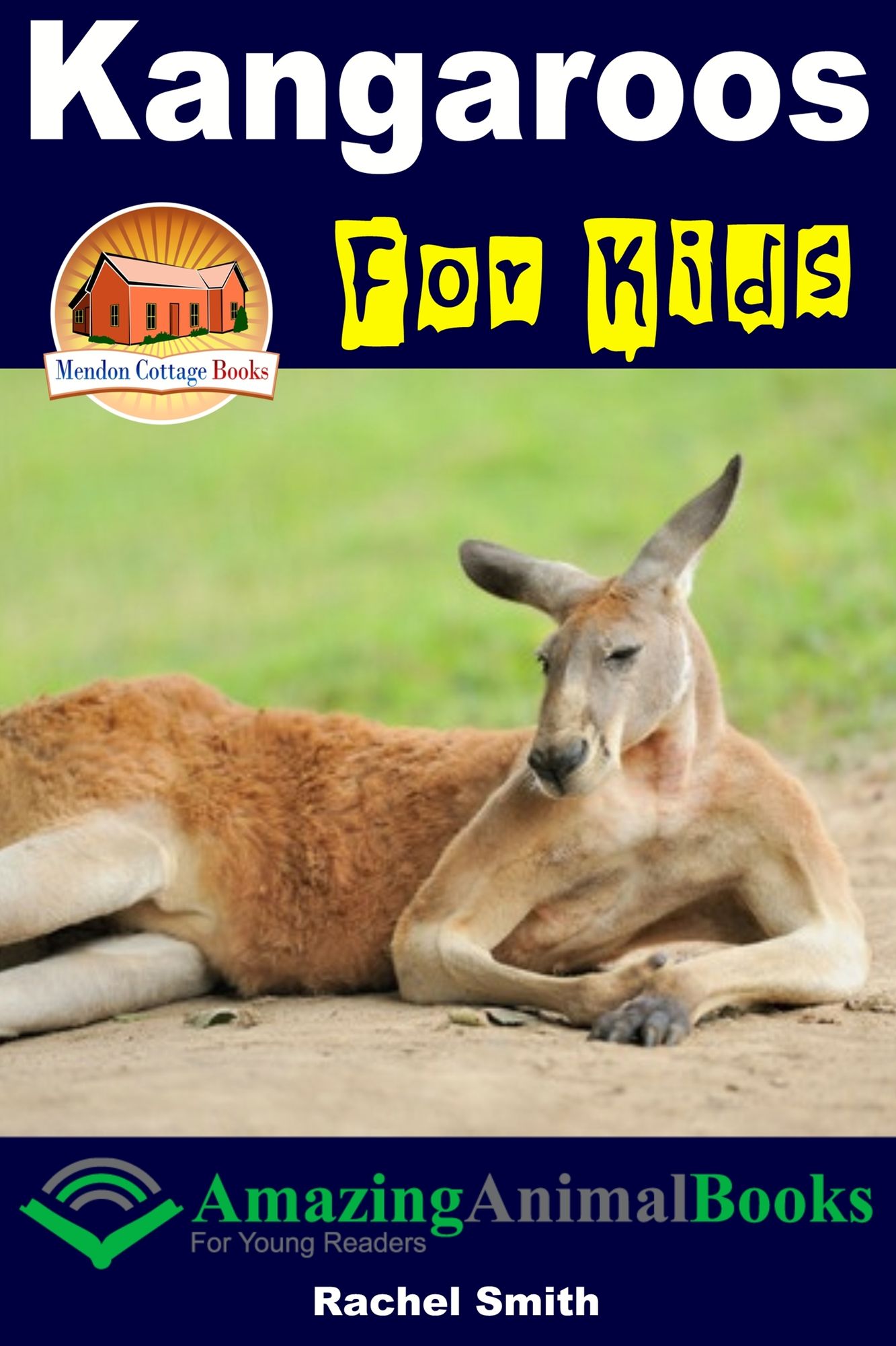 Kangaroos For Kids