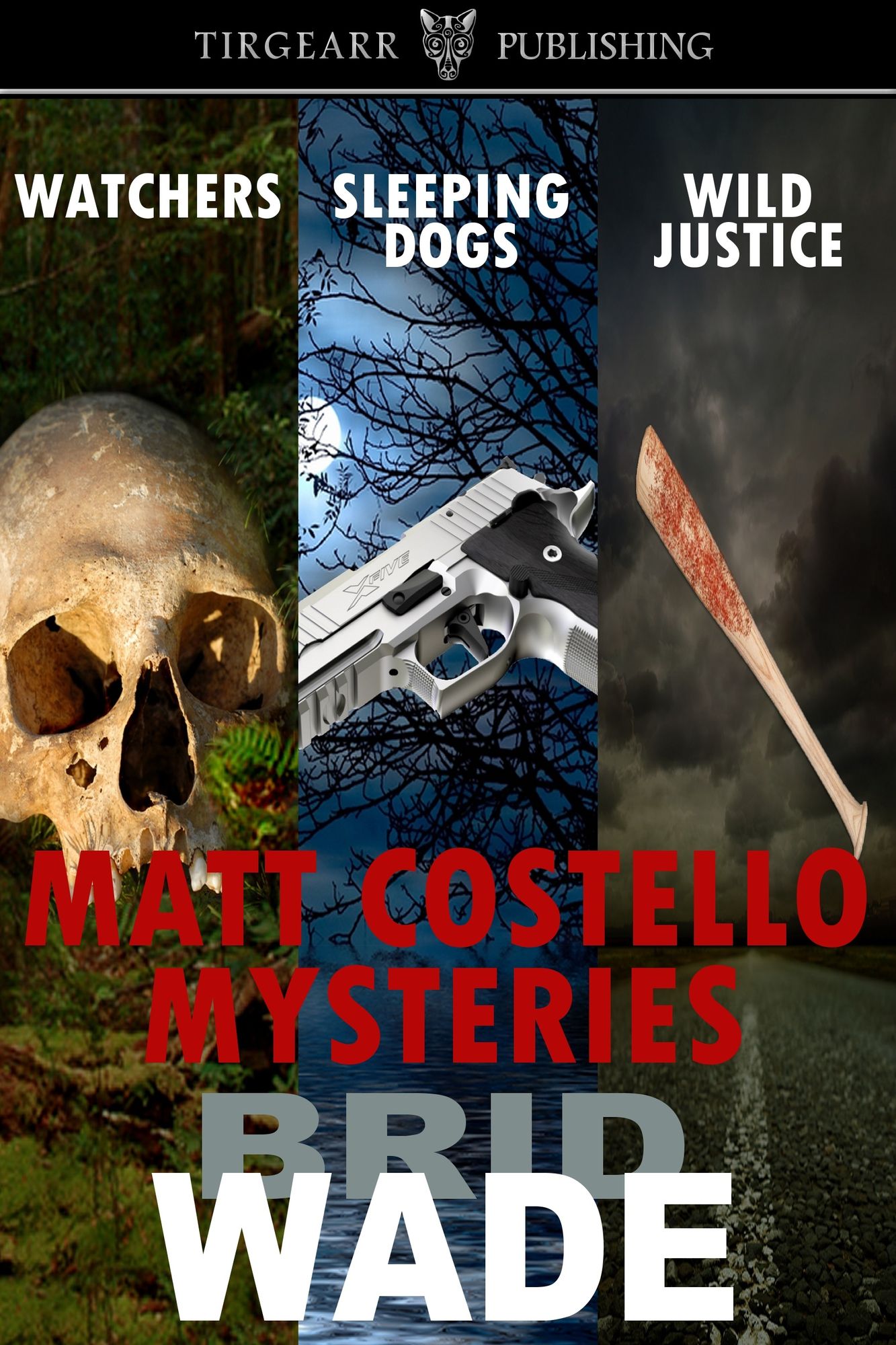 Matt Costello Mysteries Box Set