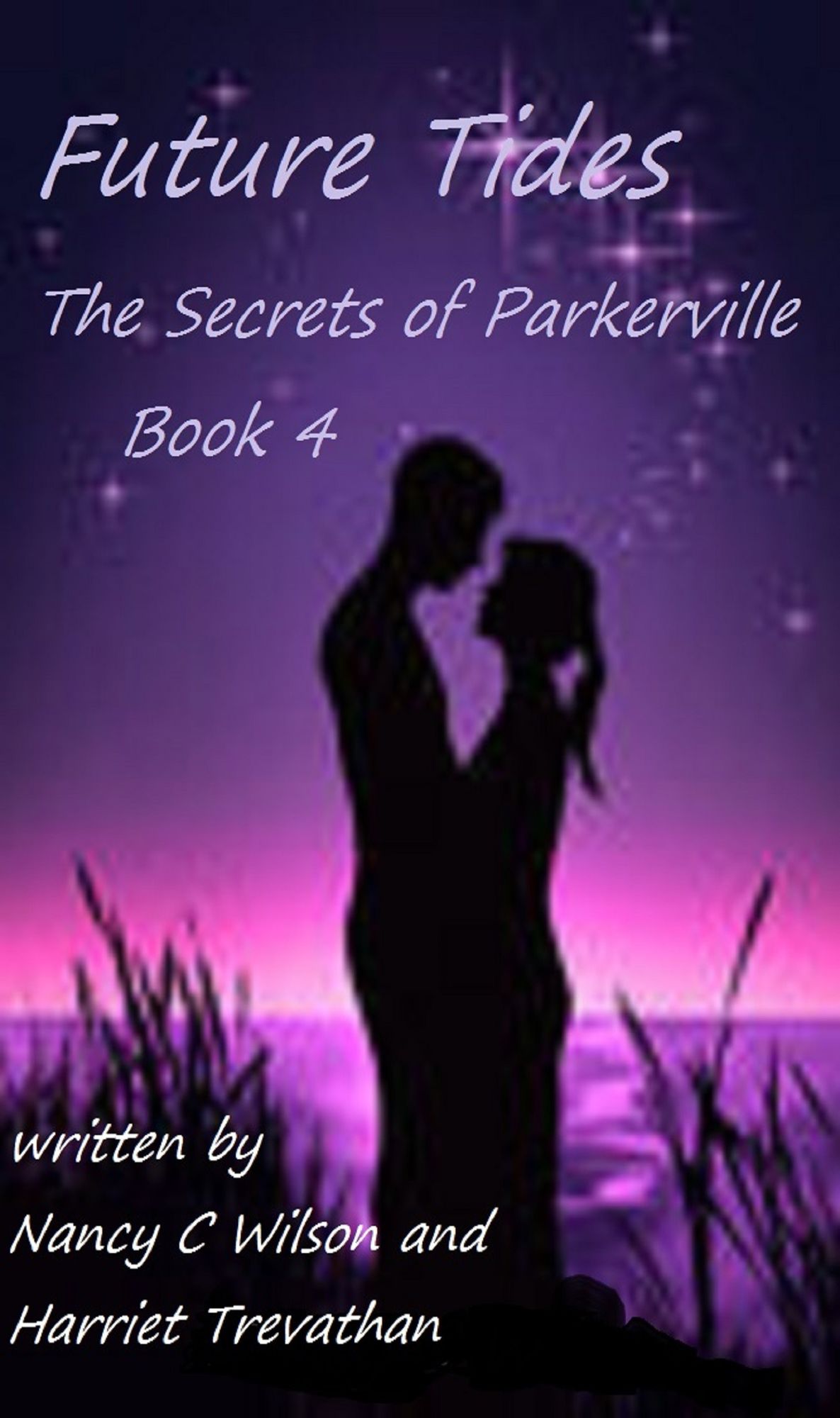 The Secrets of Parkerville Series: Book 4 - Future Tides
