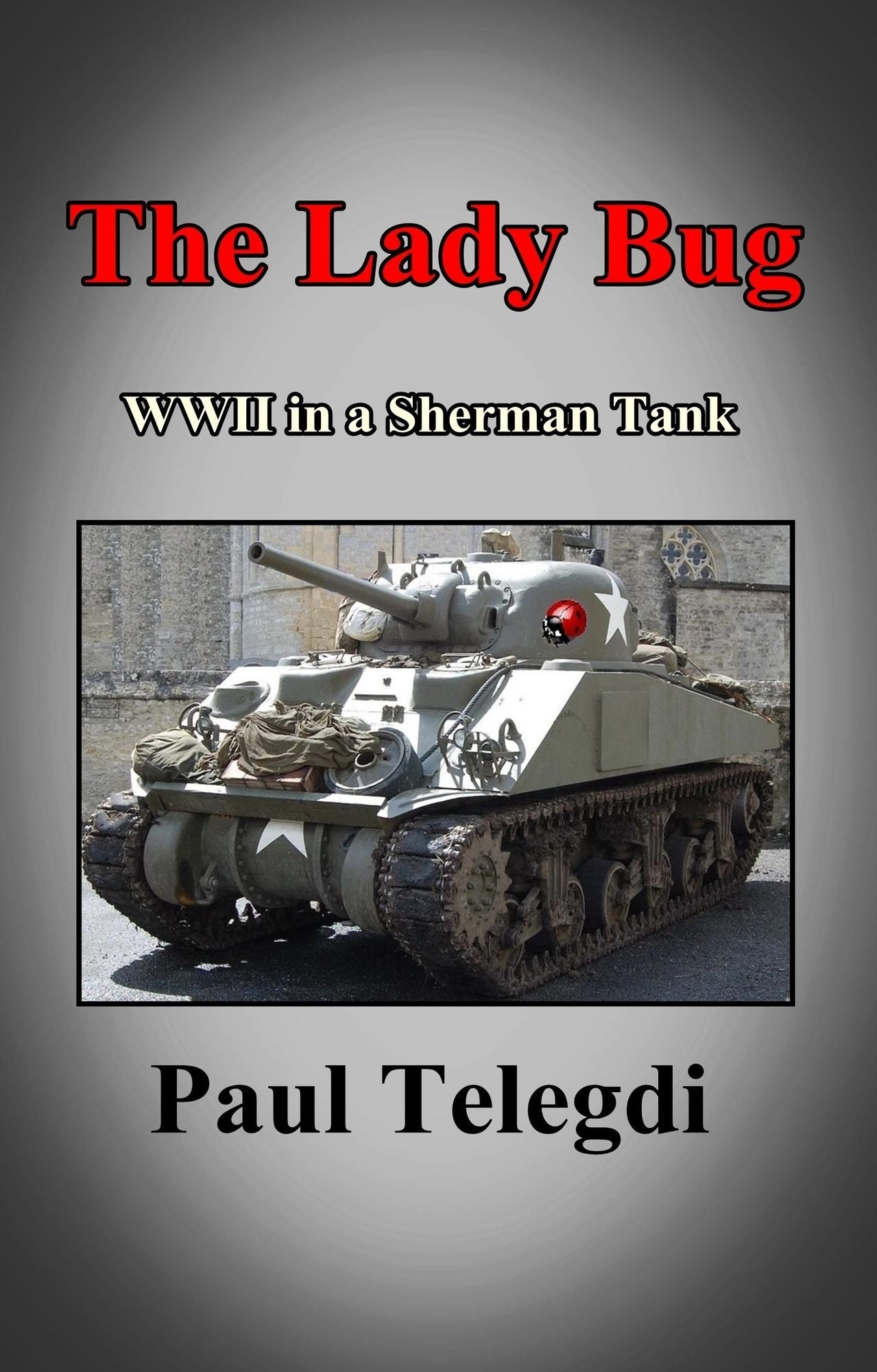 The Lady Bug