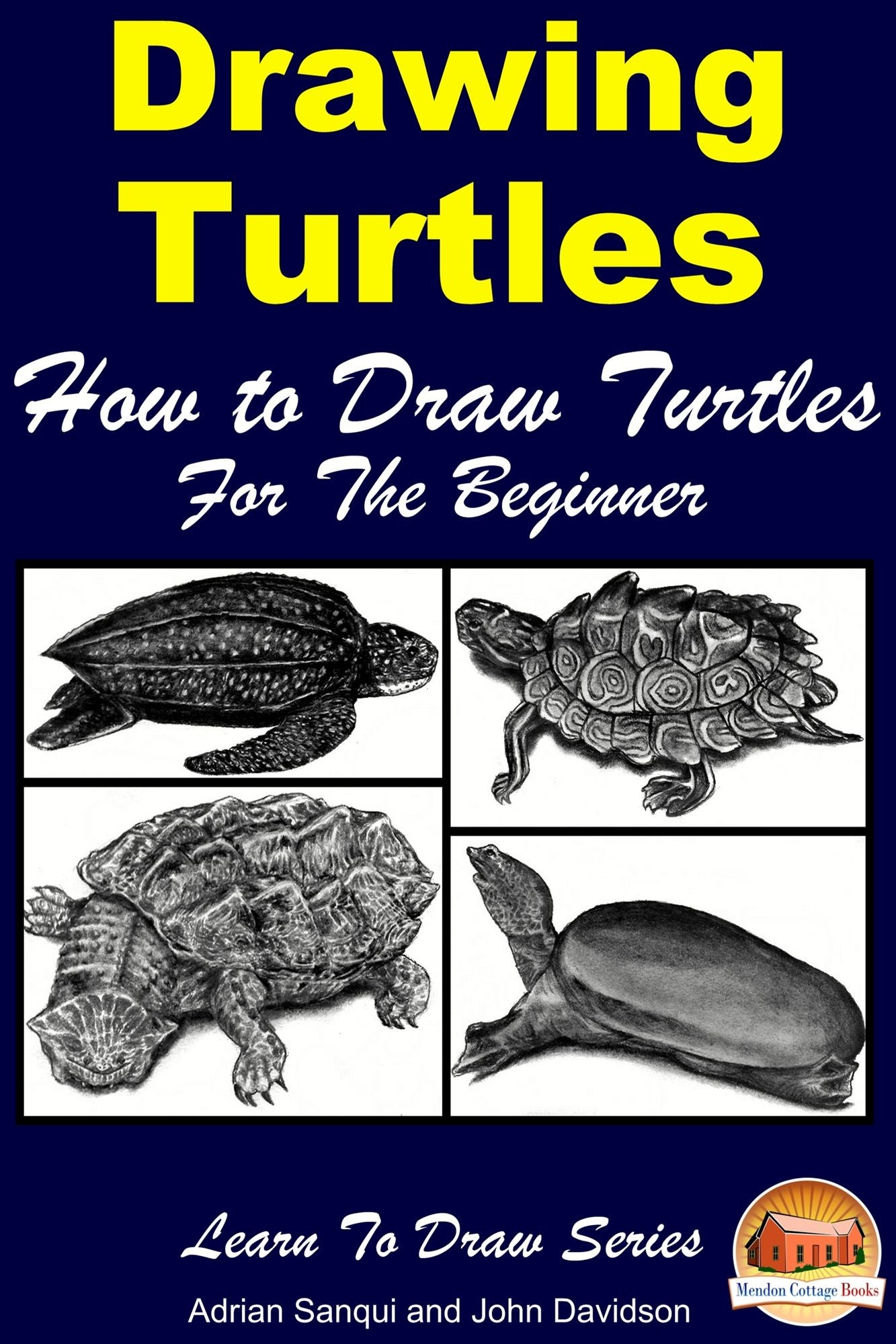 Drawing Turtles: How to Draw Turtles For the Beginner