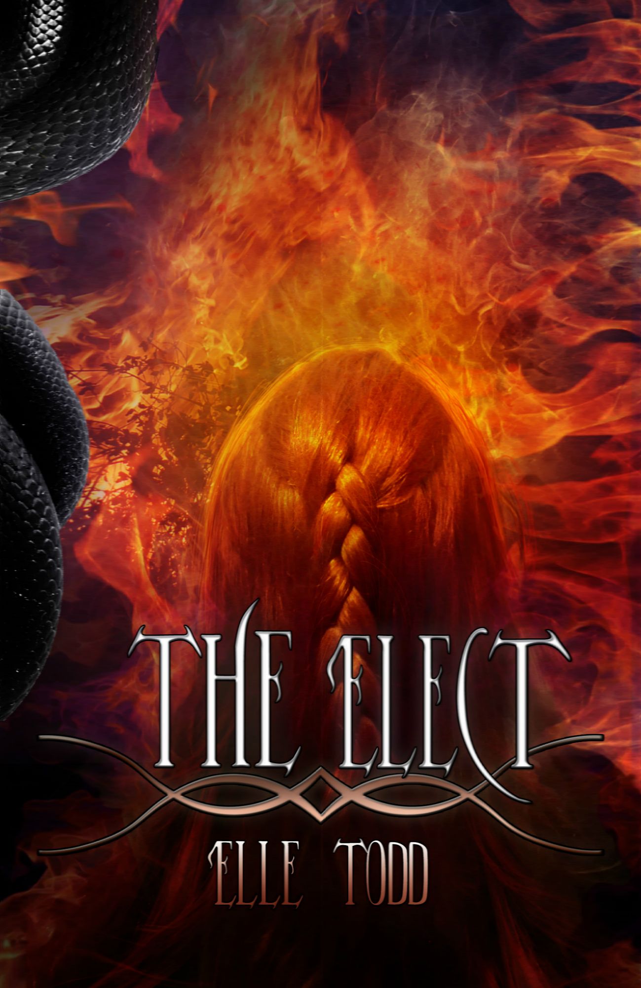 The Elect (Allison's Story #1)