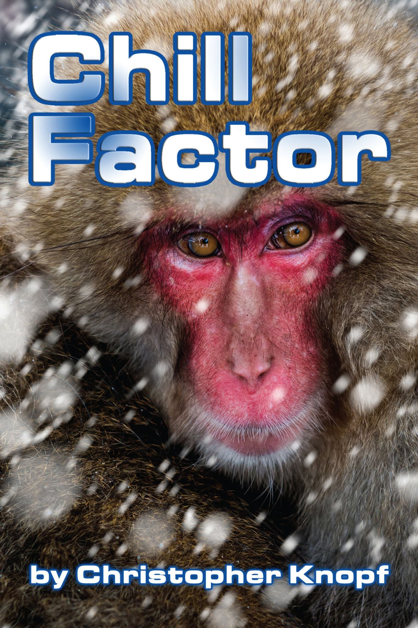 Chill Factor
