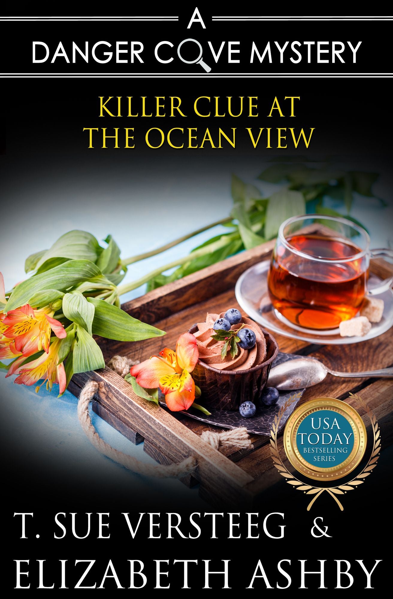 Killer Closet Case (a Danger Cove B&B Mystery)