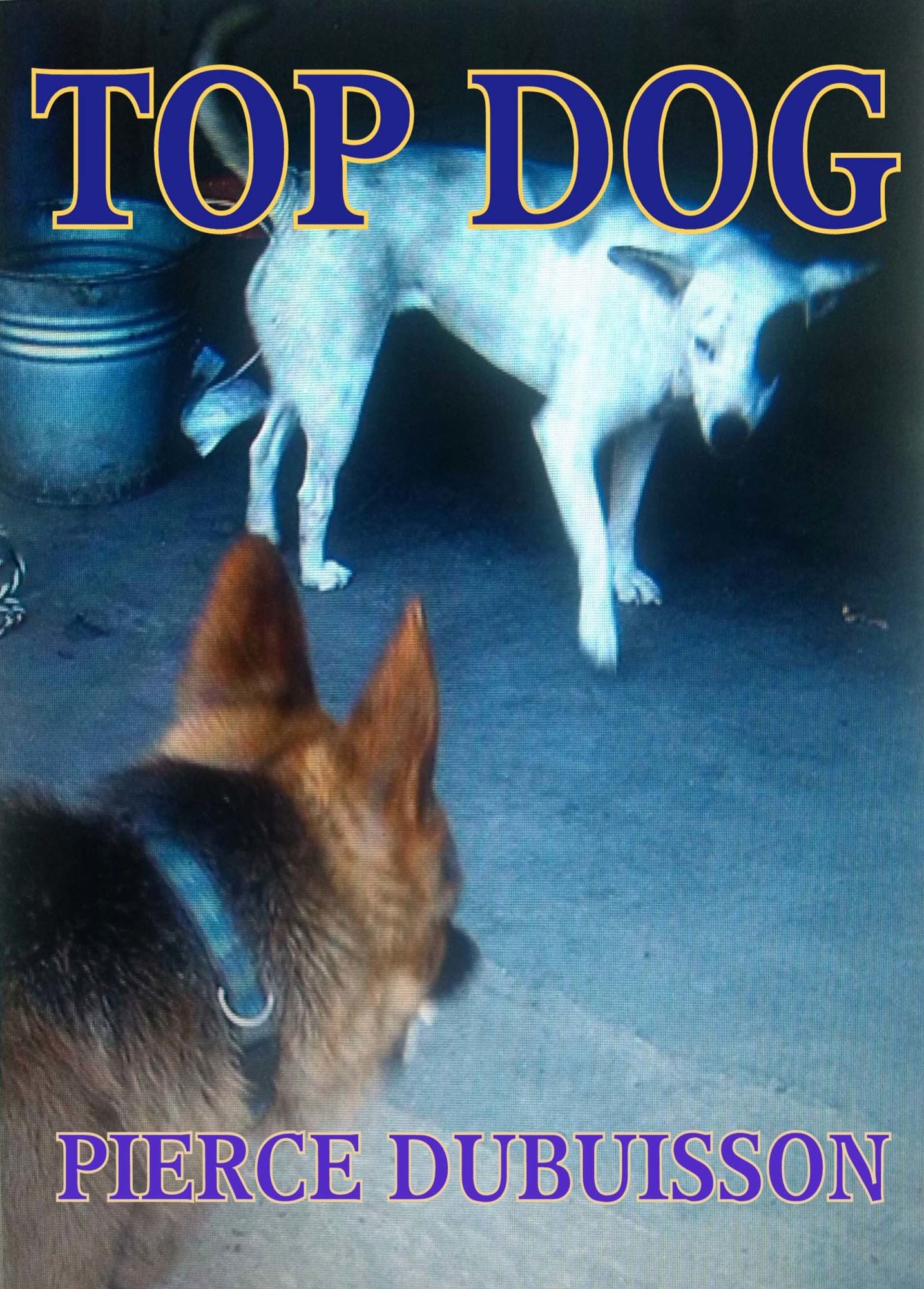 Top Dog