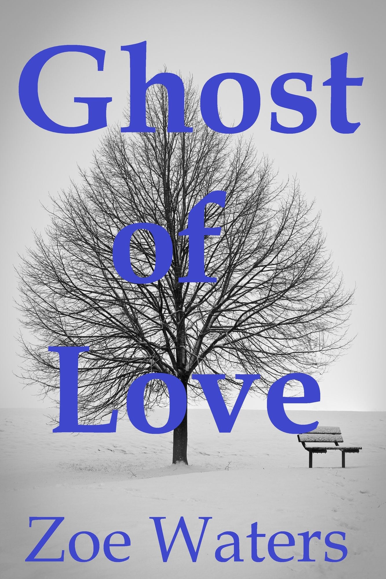 Ghost of Love: Life After Death Erotica