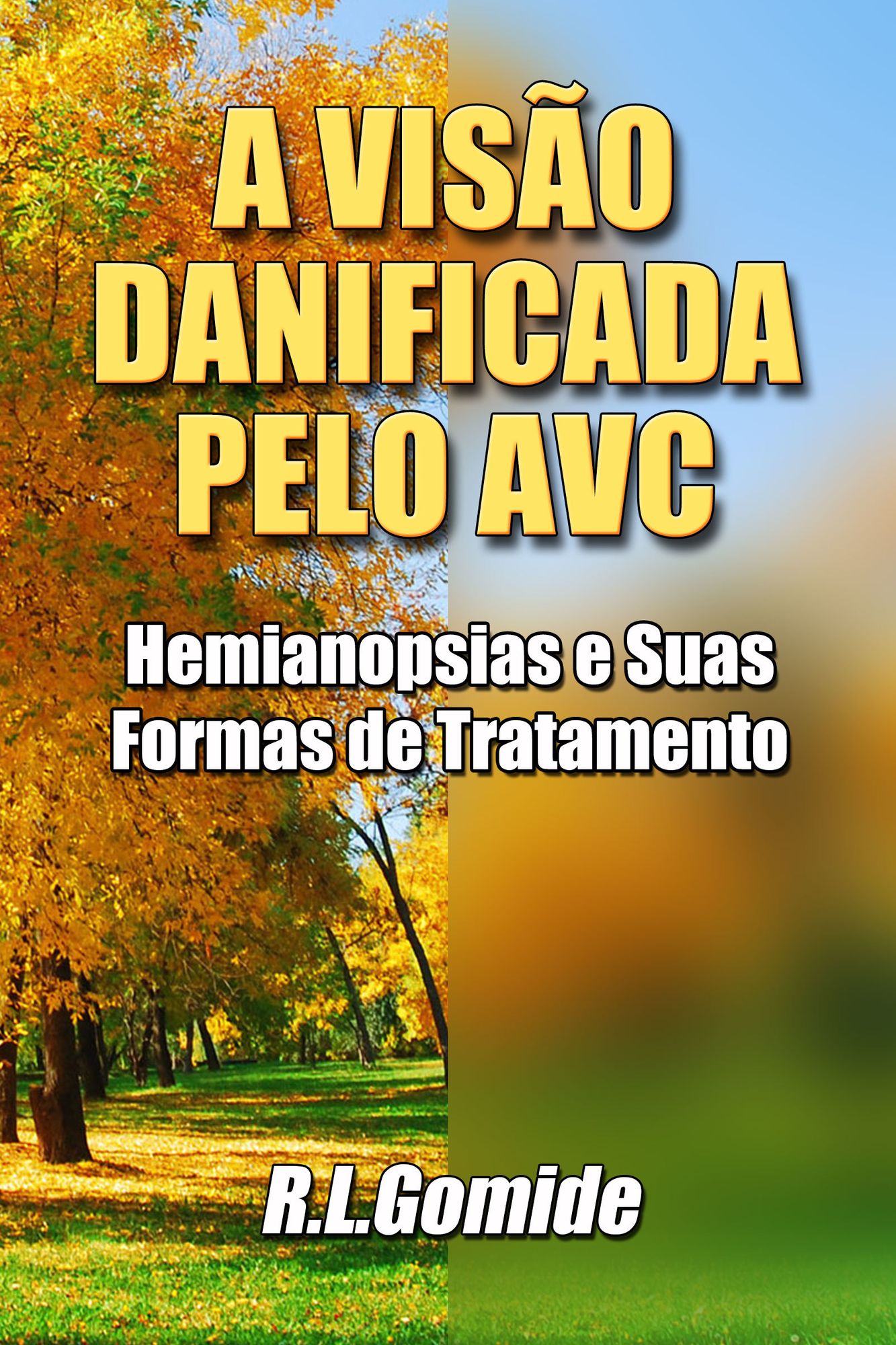 A Visão Danificada Pelo AVC: Hemianopsias e Suas Formas de Tratamento
