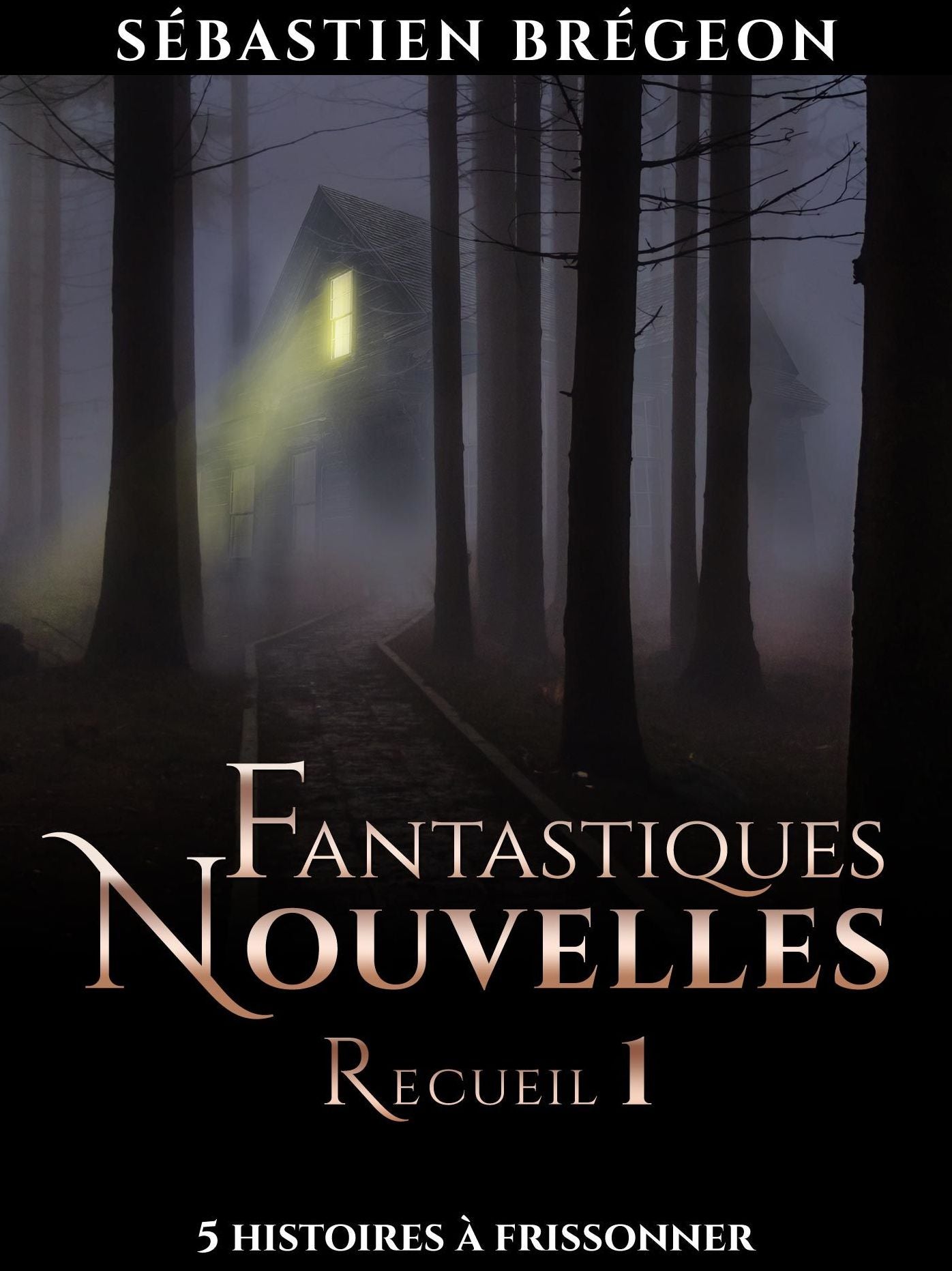 Fantastiques Nouvelles: recueil 1