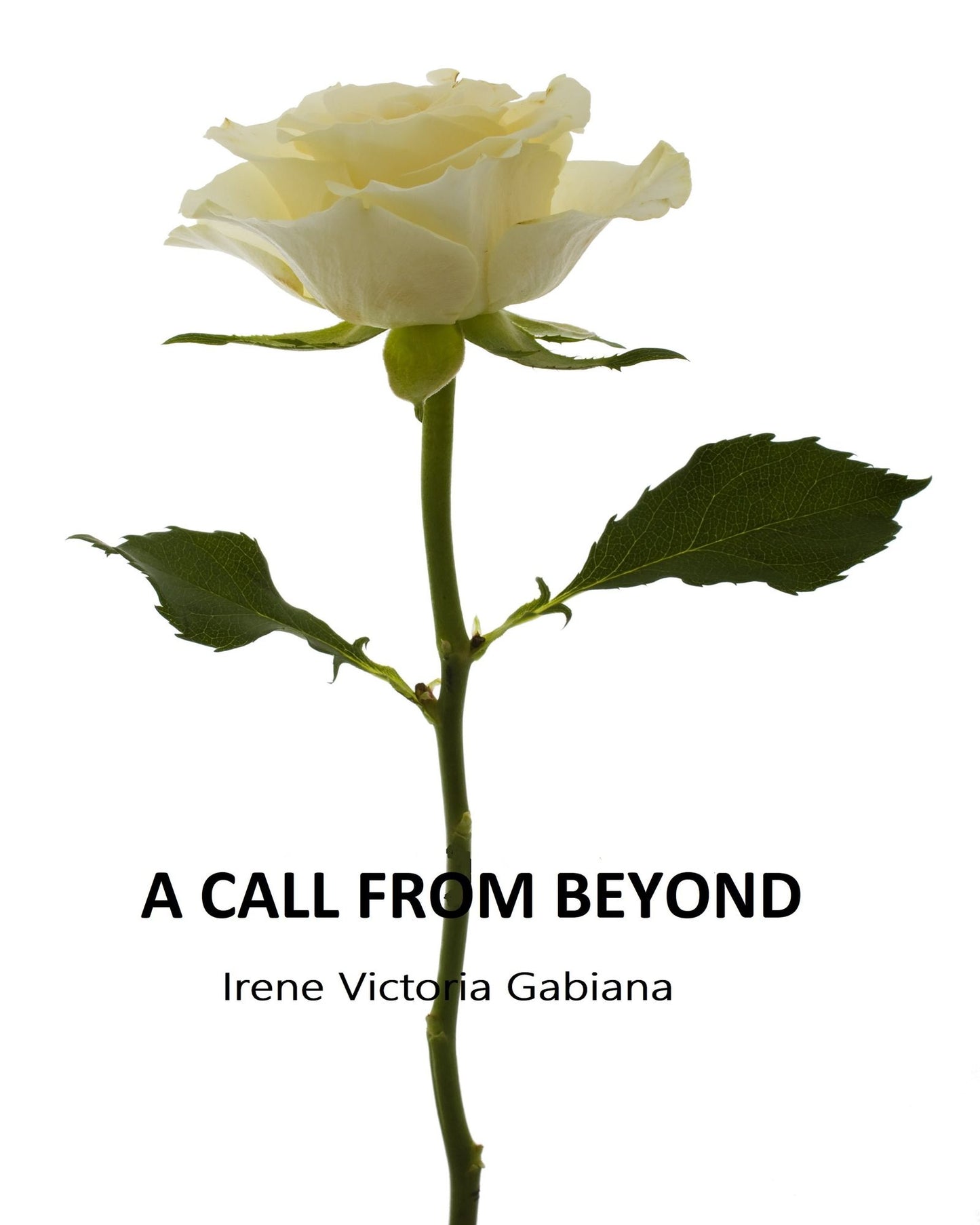 Sacred Vows