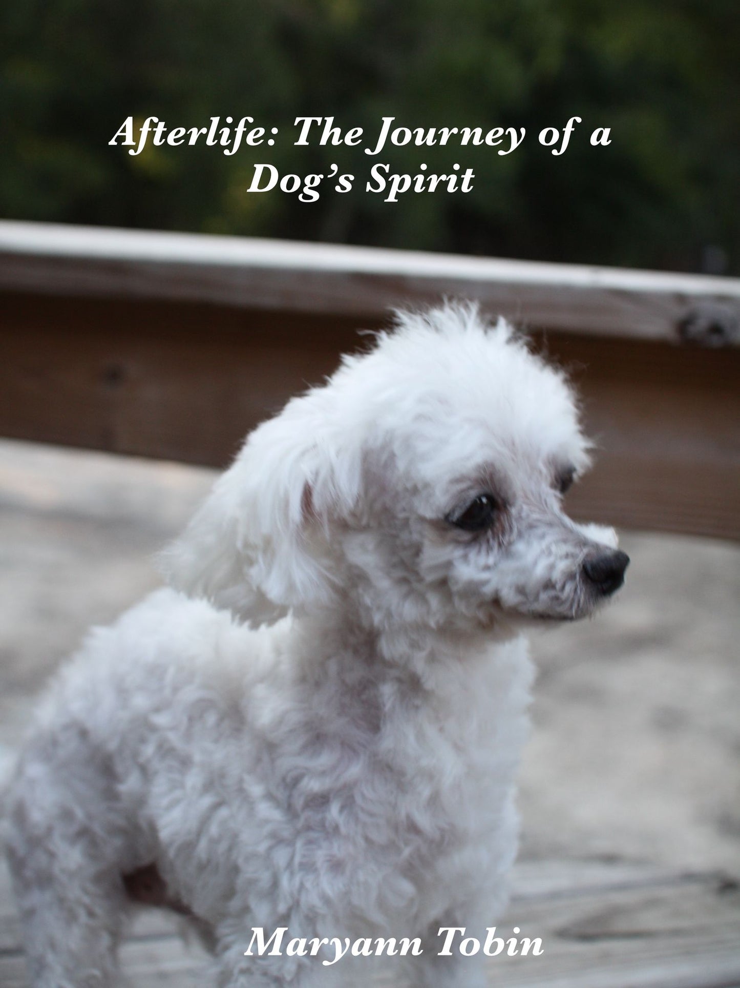 Afterlife: The Journey of a Dog's Spirit