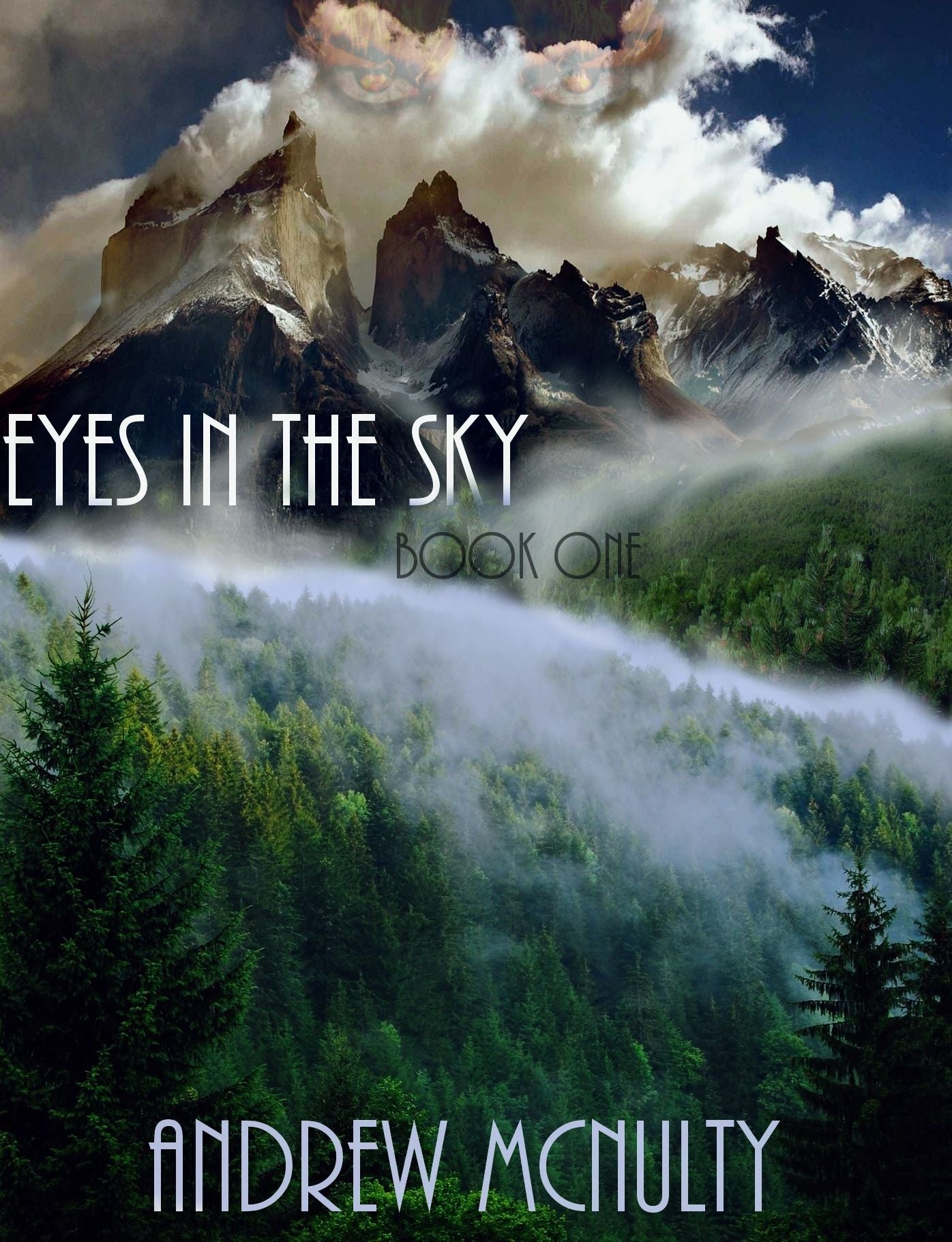 Eyes in the Sky