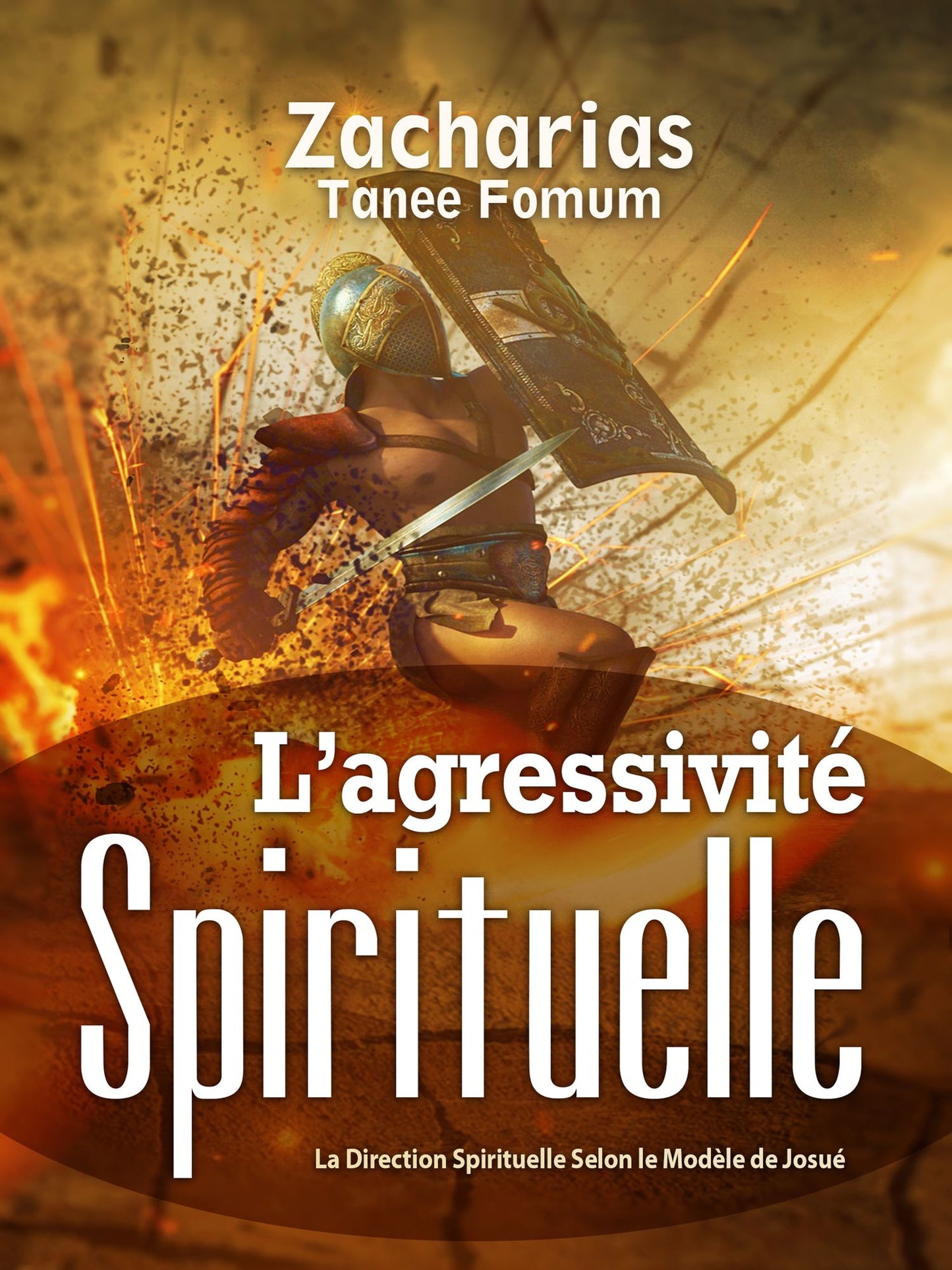 L'Agressivite Spirituelle (La Direction Spirituelle Selon Le Modele De Josue)