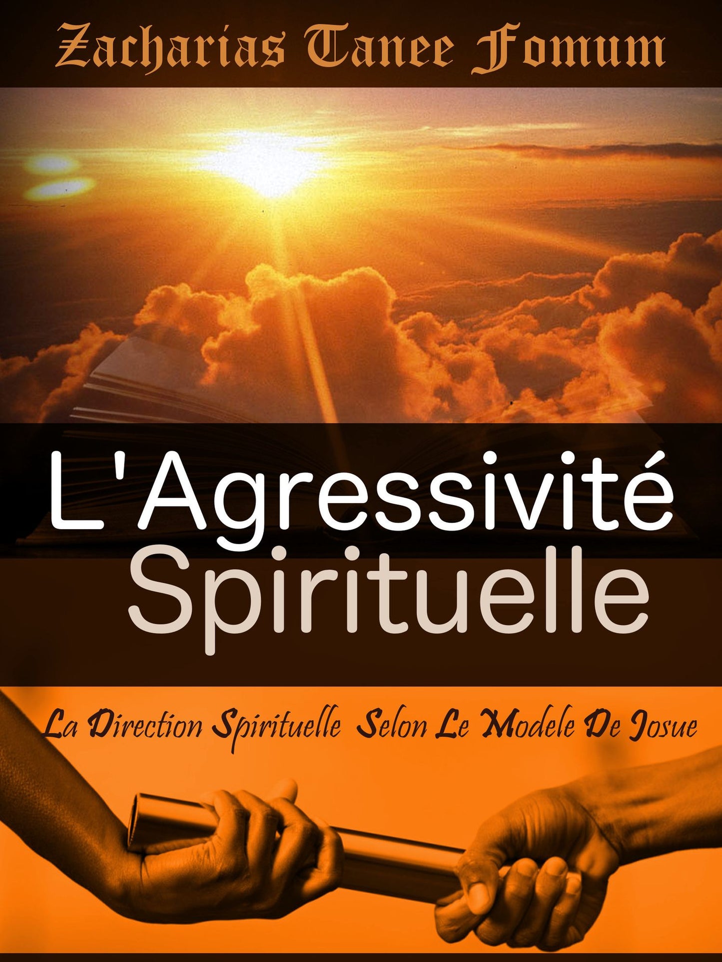 L'Agressivite Spirituelle (La Direction Spirituelle Selon Le Modele De Josue)