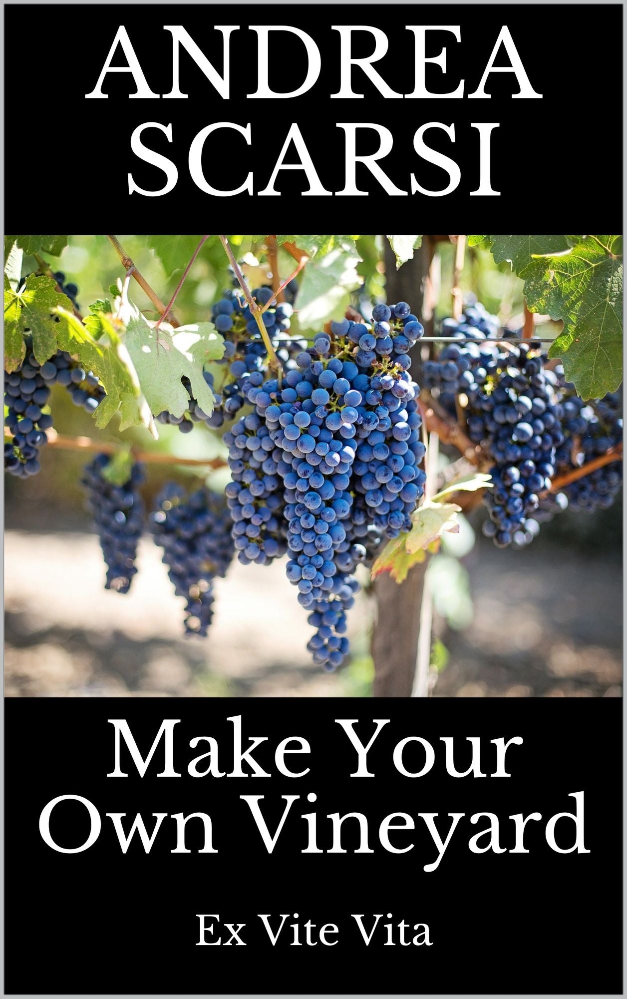 Make Your Own Vineyard