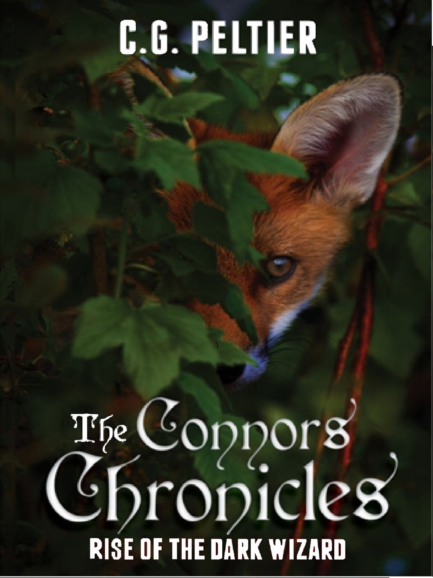 The Connors Chronicles, Rise of the Dark Wizard