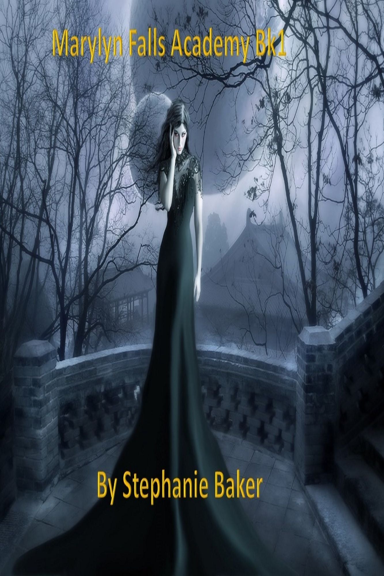 Marylyn Falls Academy Bk1