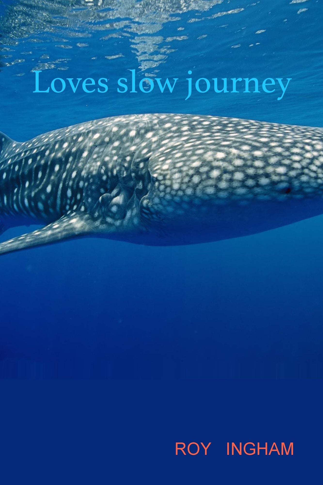 Loves Slow Journey