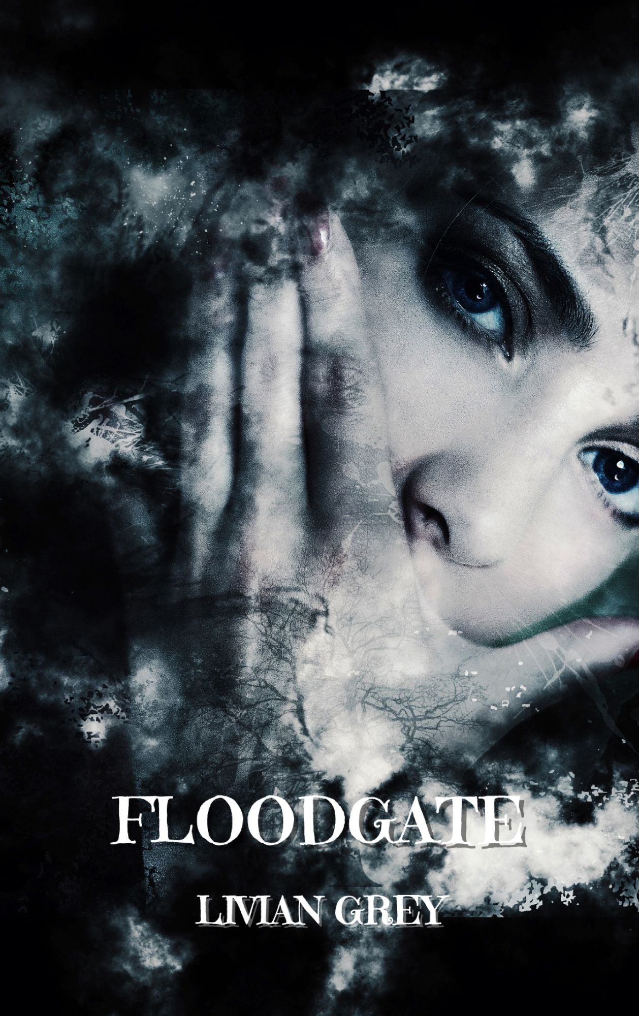Floodgate