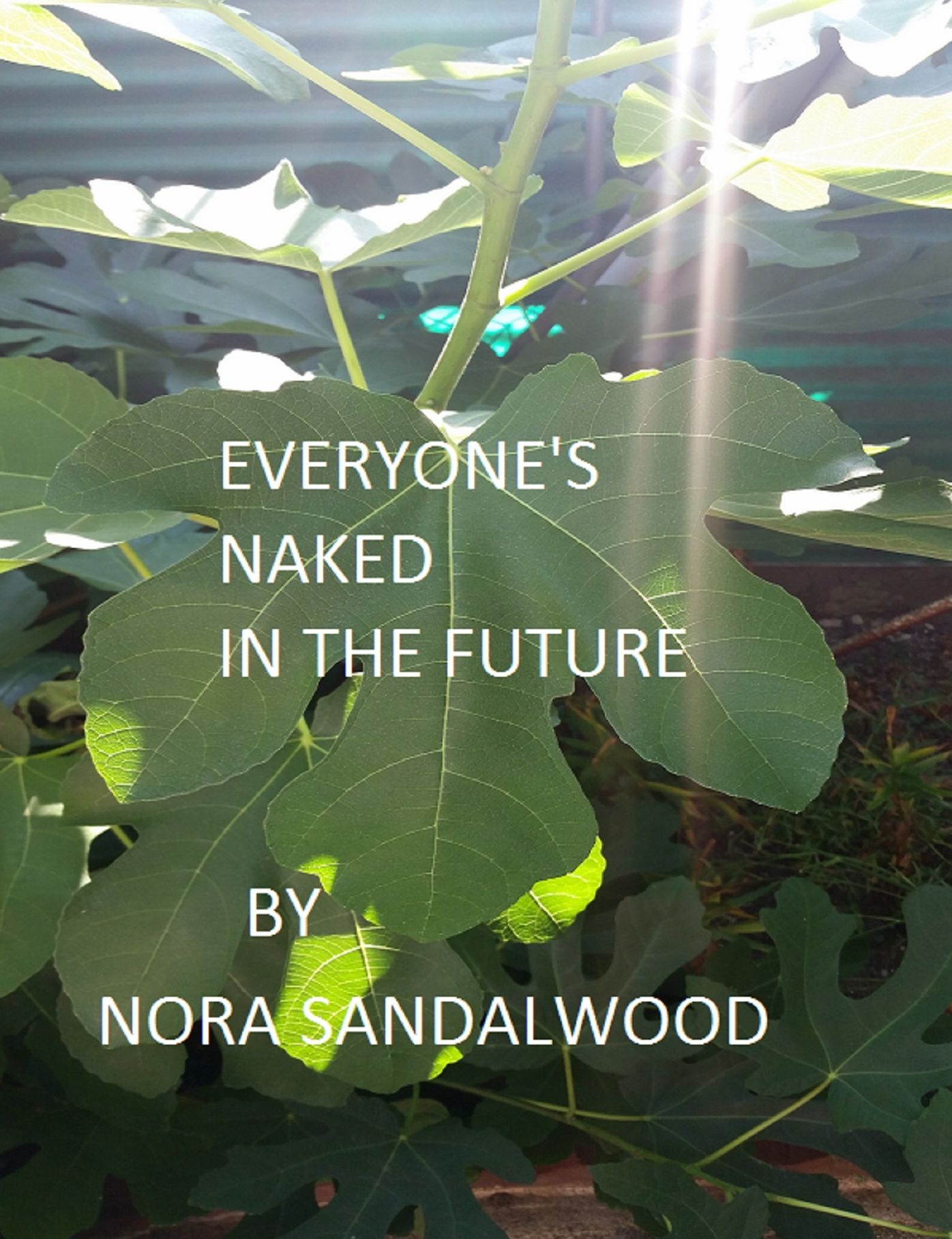 Everyone's Naked In The Future