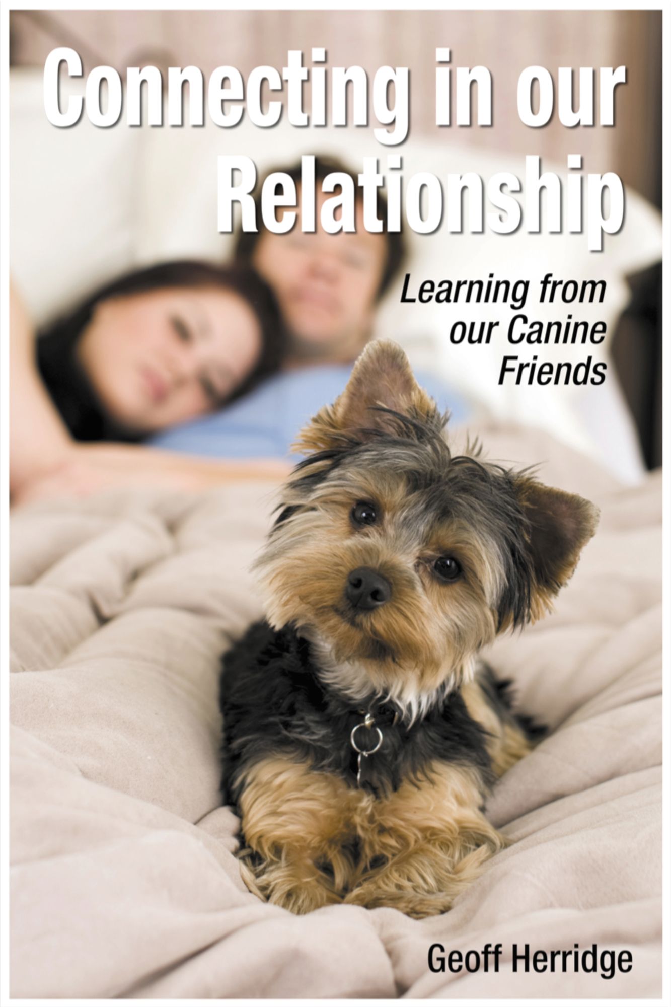 Connecting in our Relationship. Learning from our Canine Friends