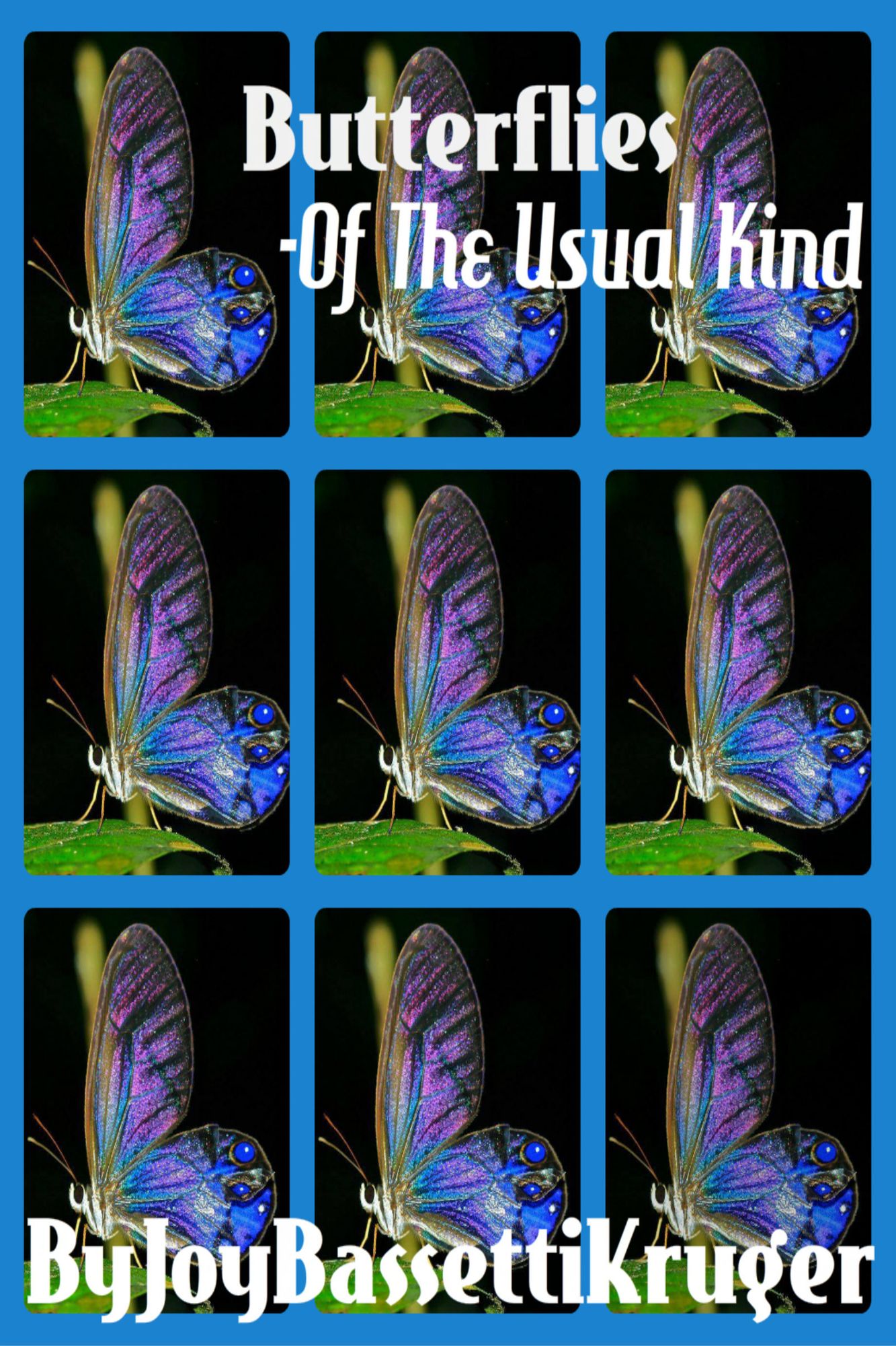 Butterflies -Of The Usual Kind
