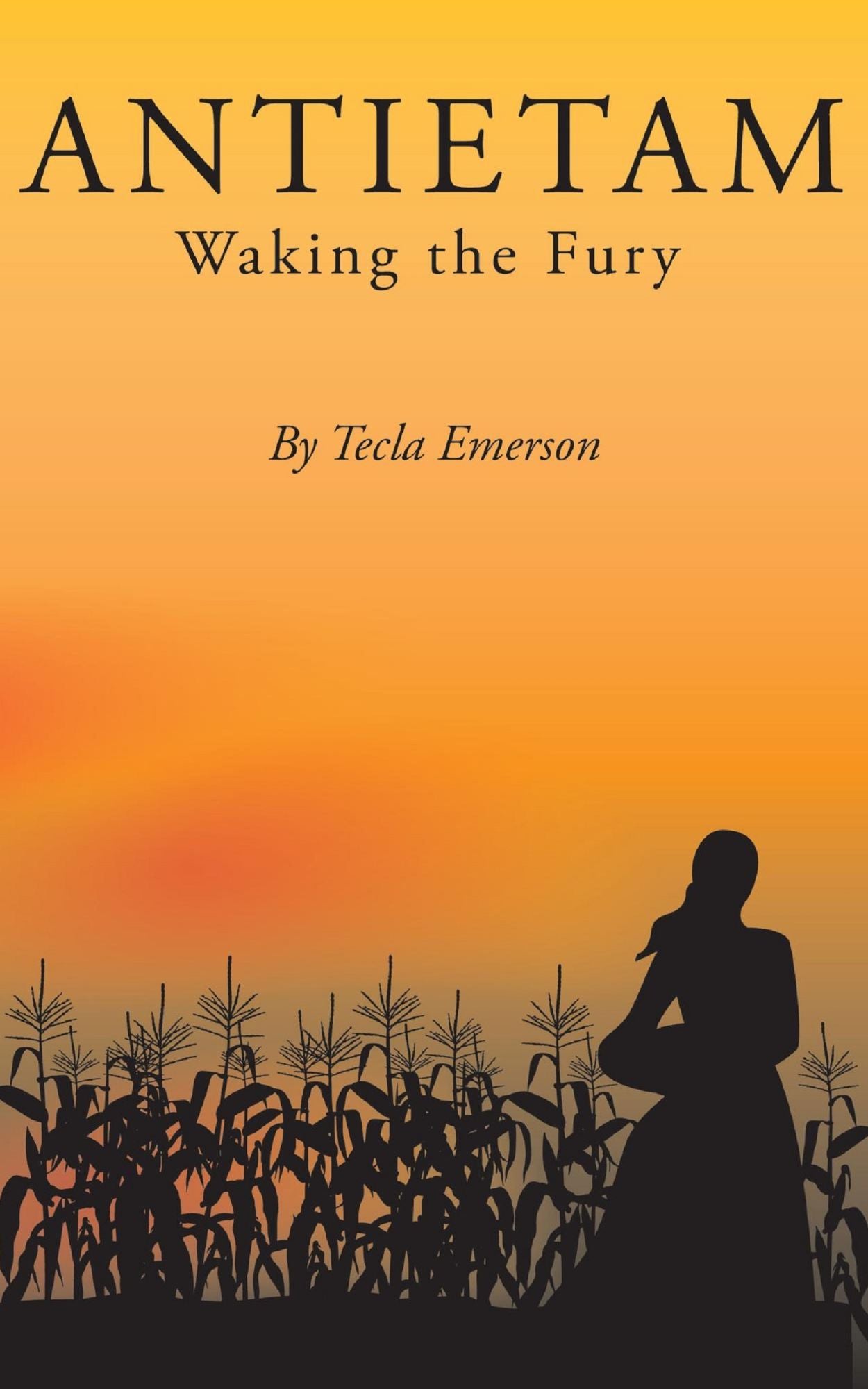 Antietam: Waking the Fury